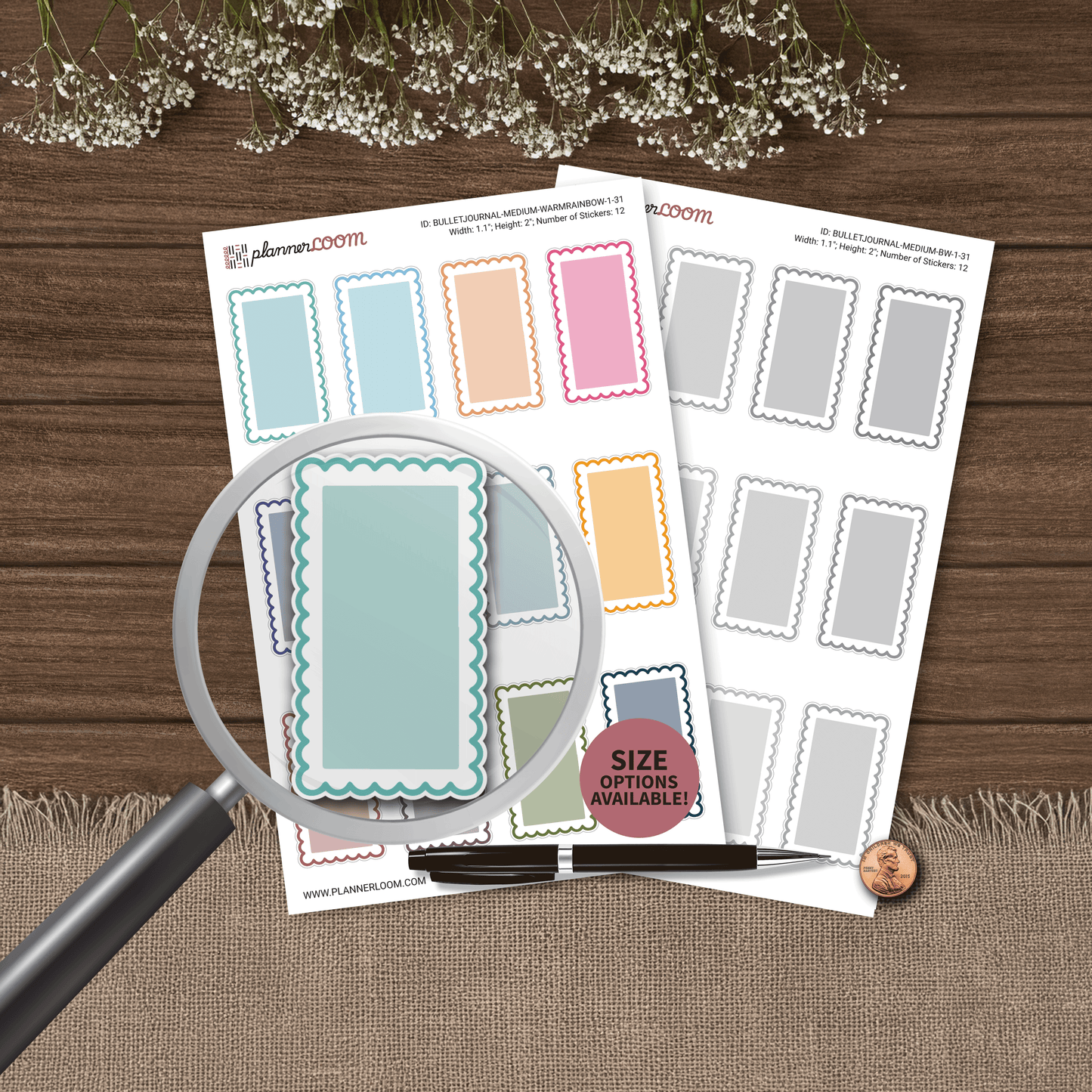 BULLETJOURNAL-1-31.png