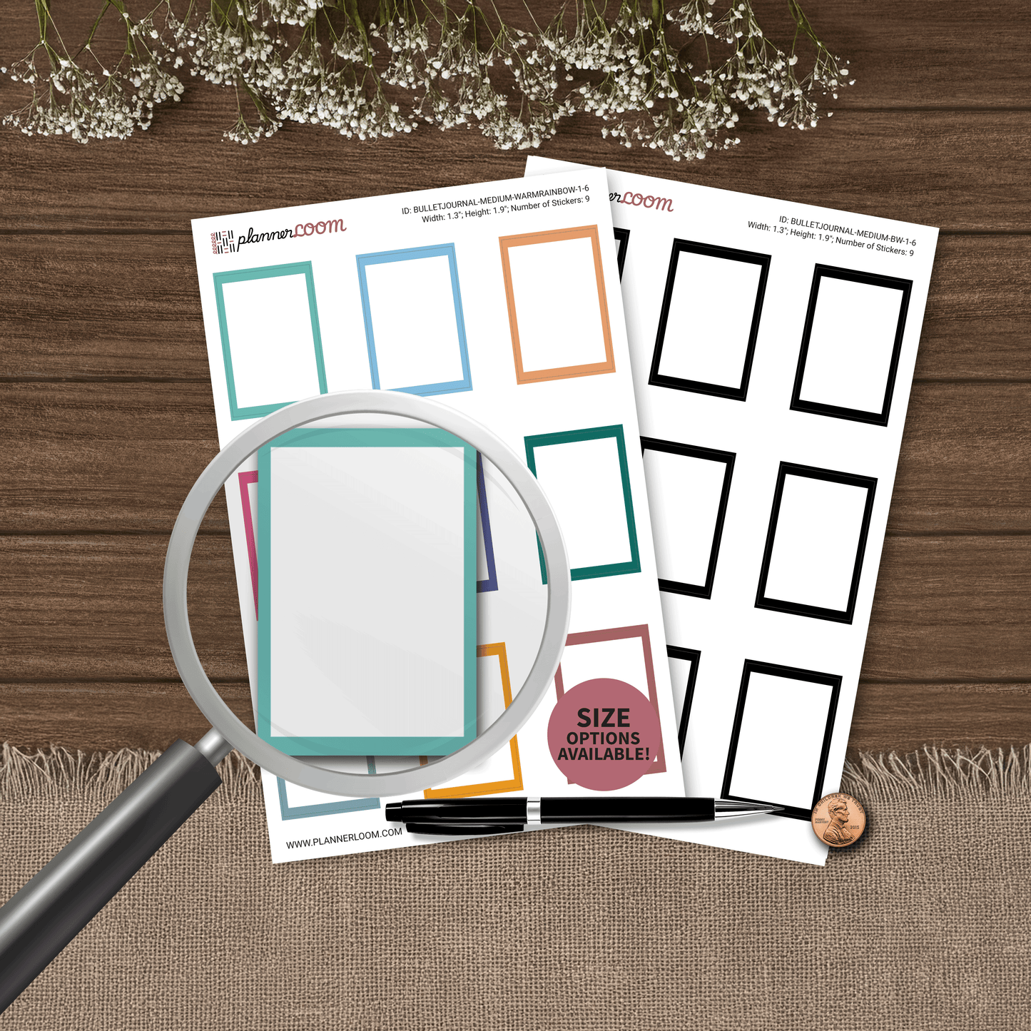 BULLETJOURNAL-1-6.png