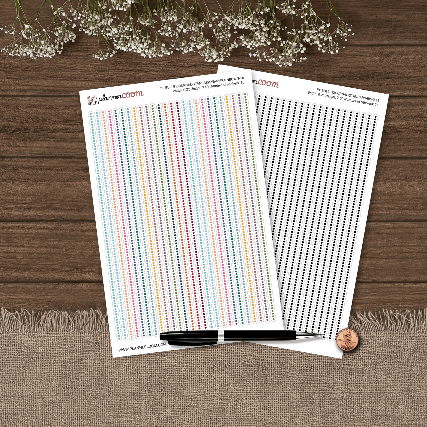 BULLETJOURNAL-3-18.png