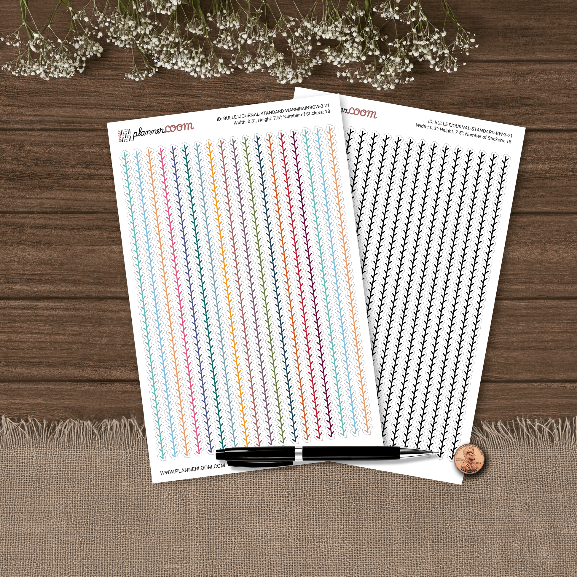 BULLETJOURNAL-3-21.png