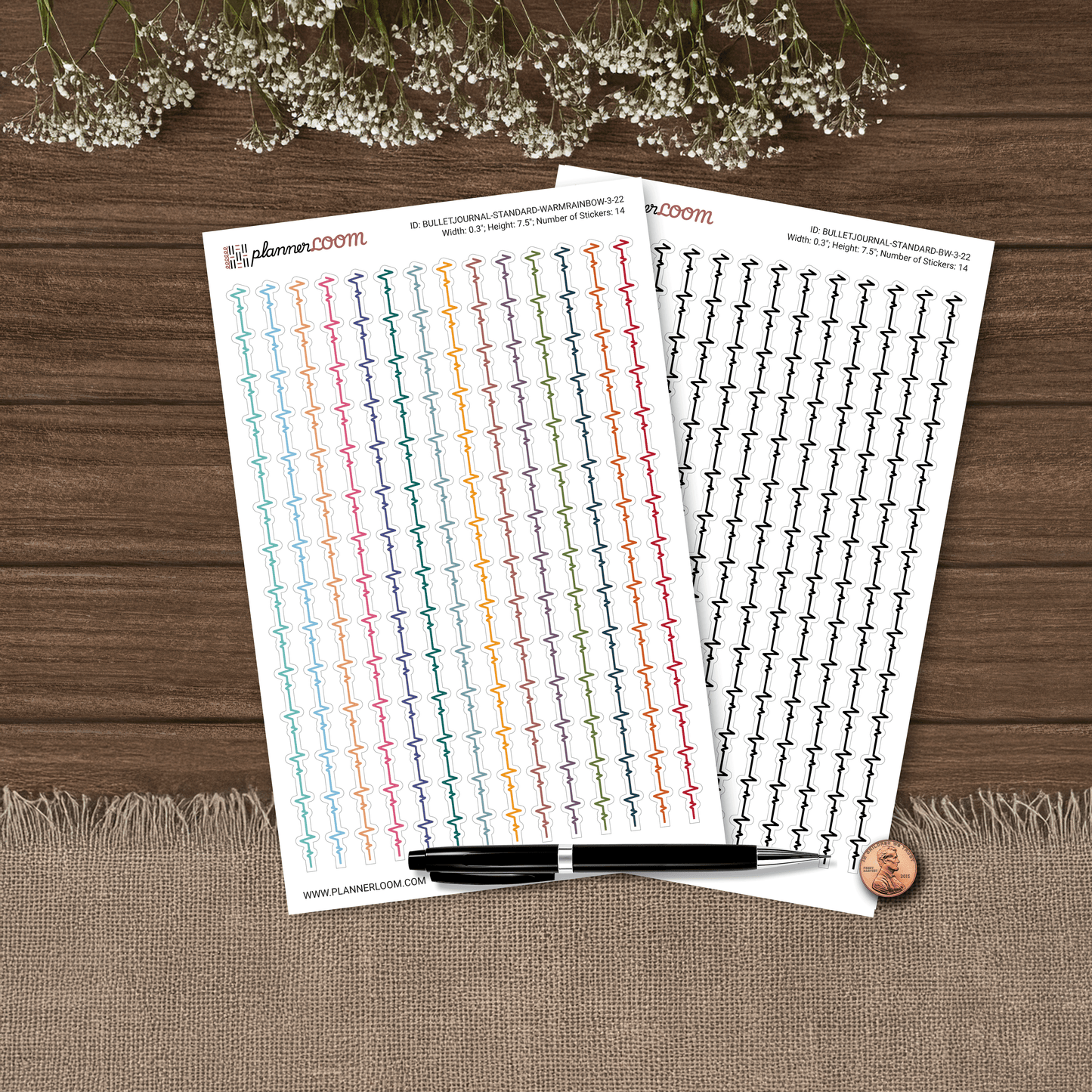 BULLETJOURNAL-3-22.png