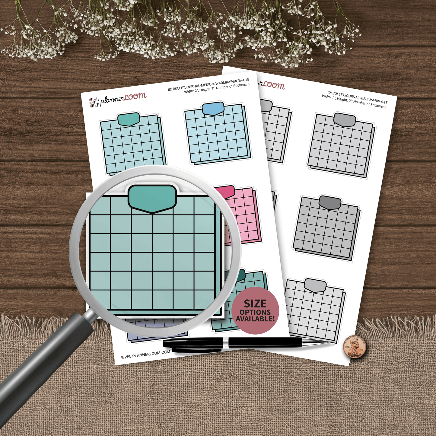 BULLETJOURNAL-4-15.png
