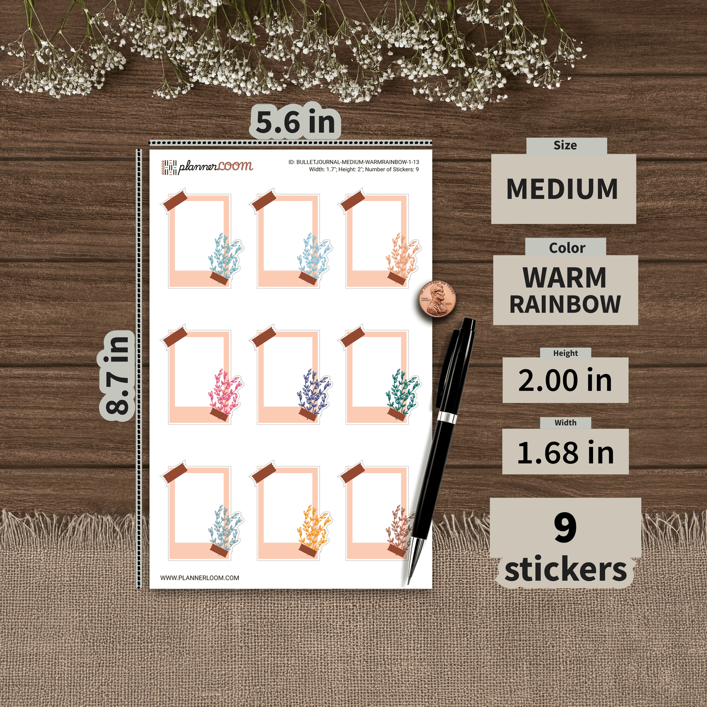 BULLETJOURNAL-MEDIUM-WARMRAINBOW-1-13.png