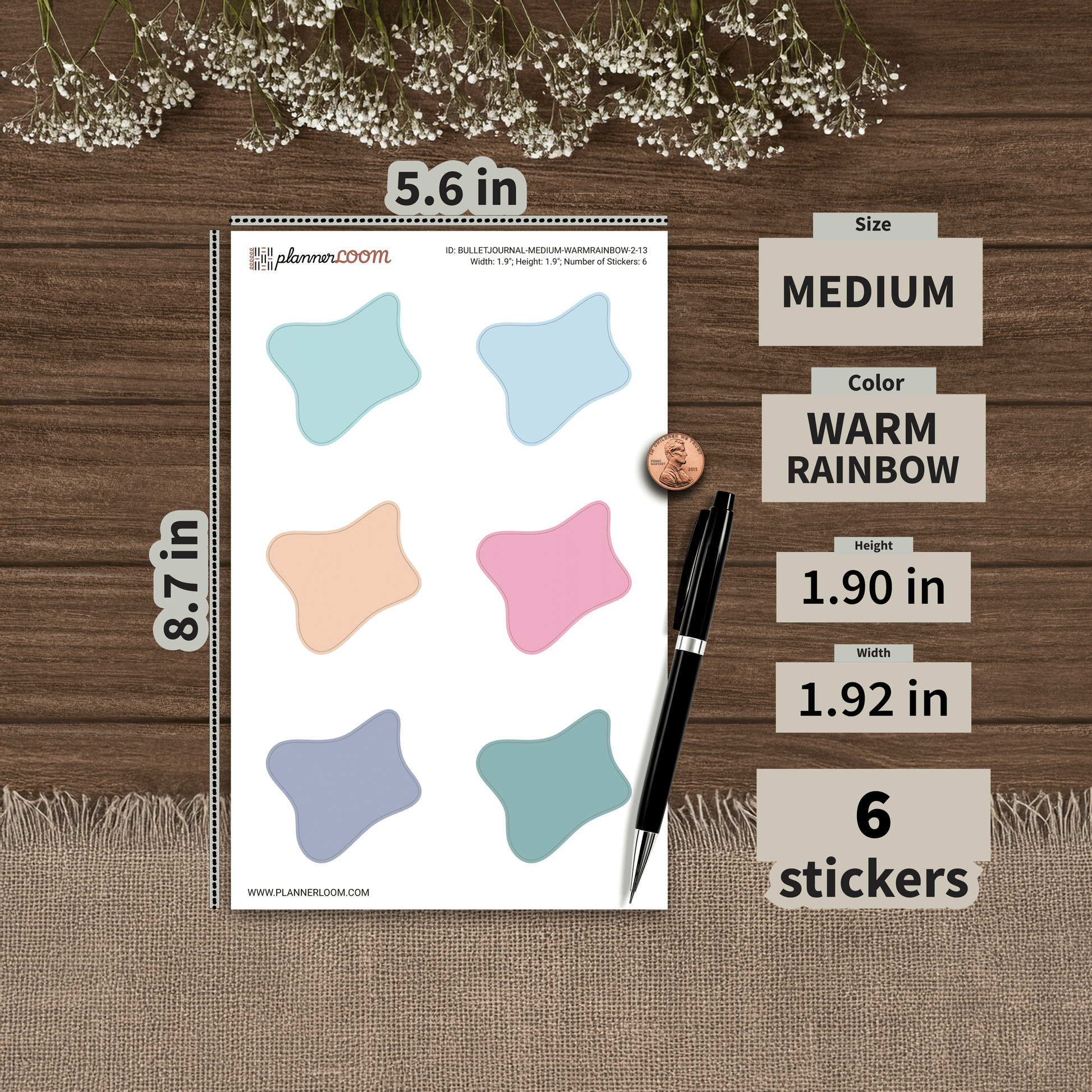 BULLETJOURNAL-MEDIUM-WARMRAINBOW-2-13.png