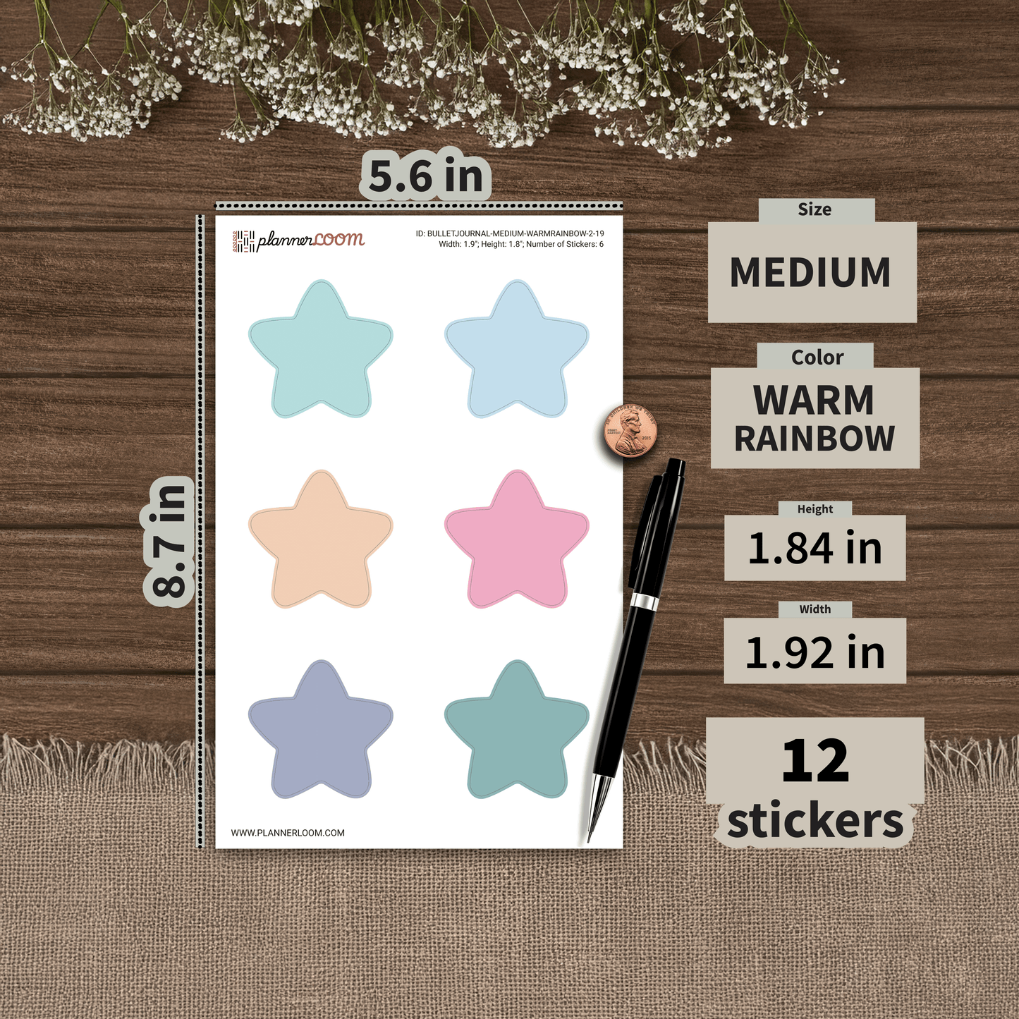 BULLETJOURNAL-MEDIUM-WARMRAINBOW-2-19.png