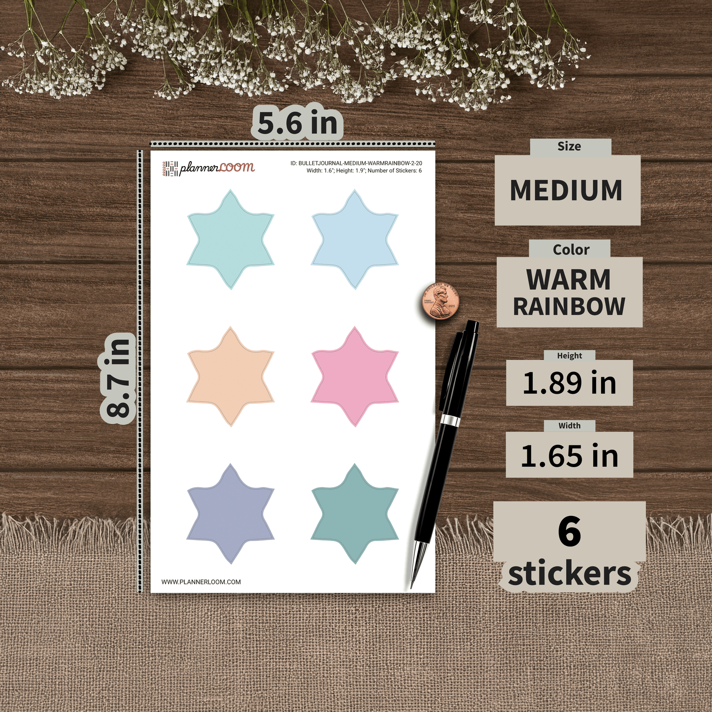 BULLETJOURNAL-MEDIUM-WARMRAINBOW-2-20.png