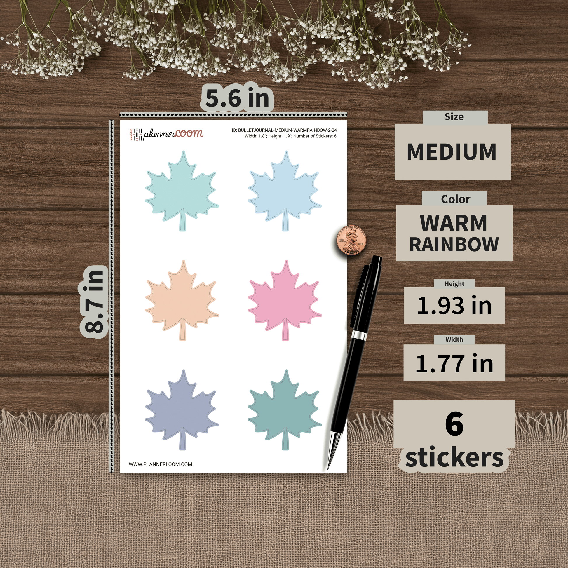 BULLETJOURNAL-MEDIUM-WARMRAINBOW-2-34.png