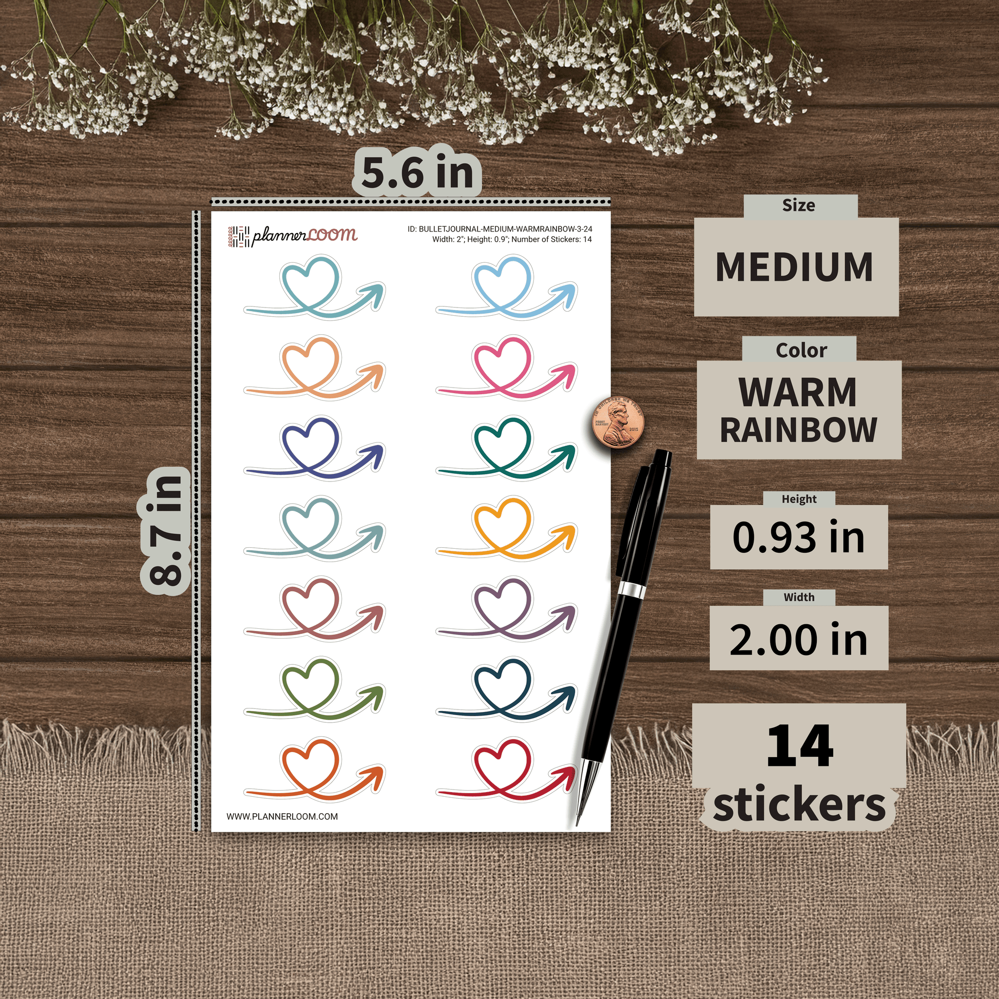 BULLETJOURNAL-MEDIUM-WARMRAINBOW-3-24.png