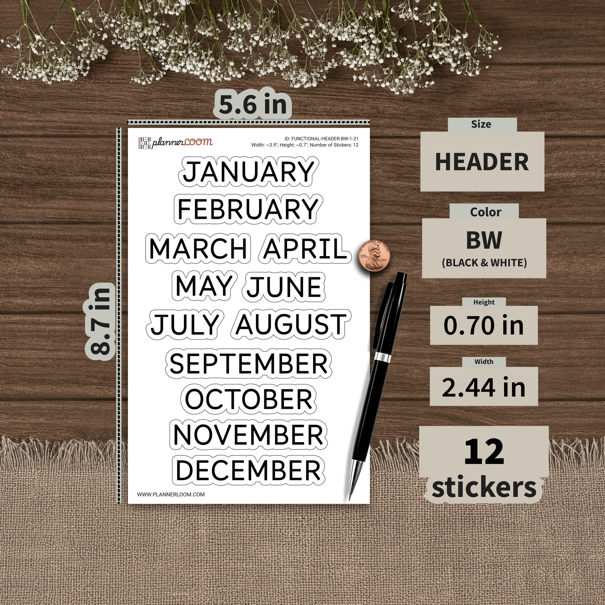 FUNCTIONAL-HEADER-BW-1-21.png