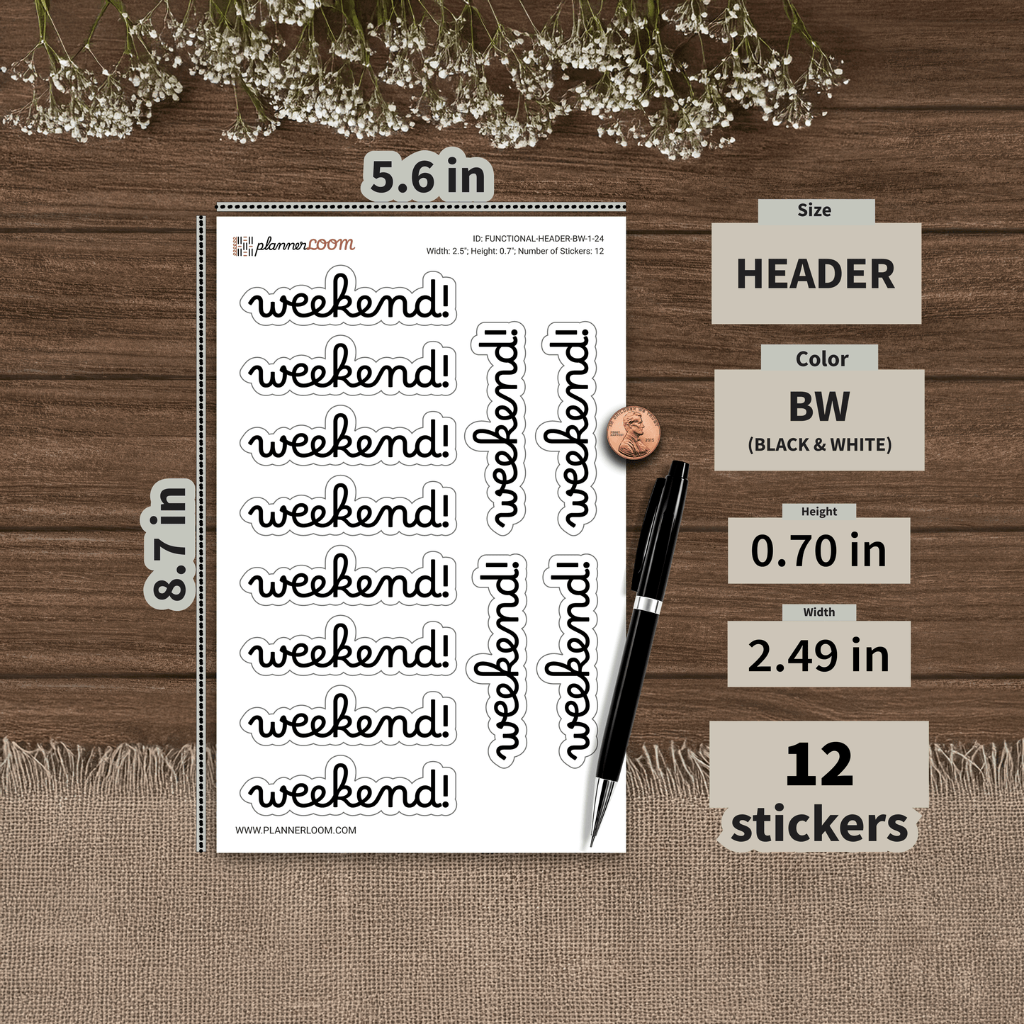 FUNCTIONAL-HEADER-BW-1-24.png