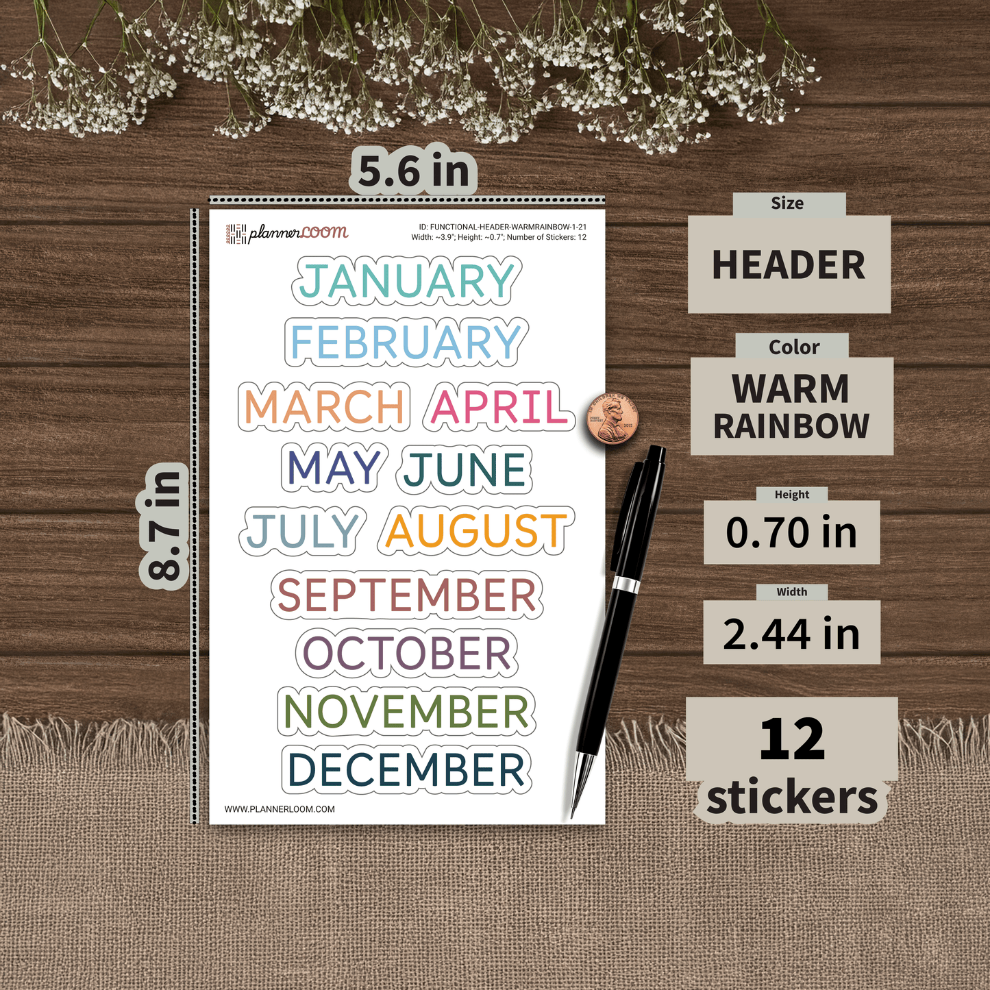 FUNCTIONAL-HEADER-WARMRAINBOW-1-21.png