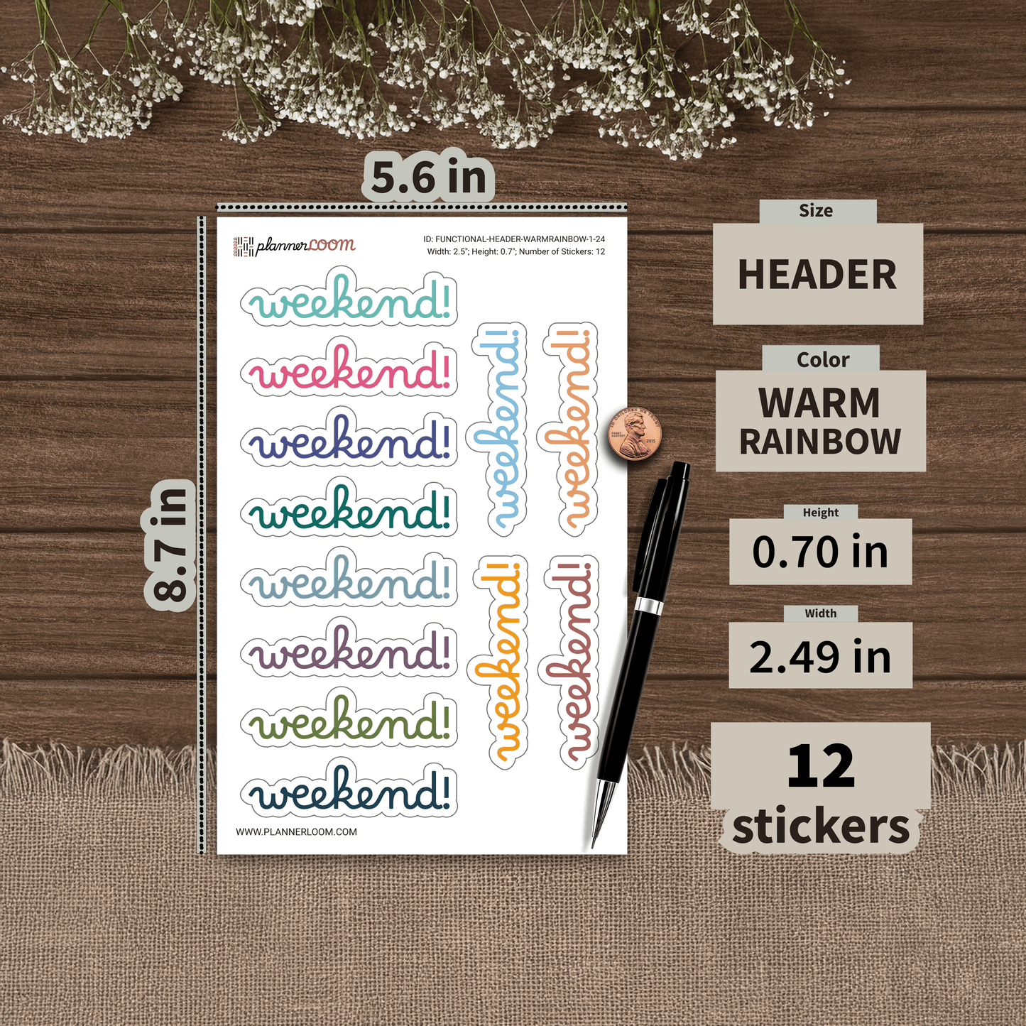 FUNCTIONAL-HEADER-WARMRAINBOW-1-24.png