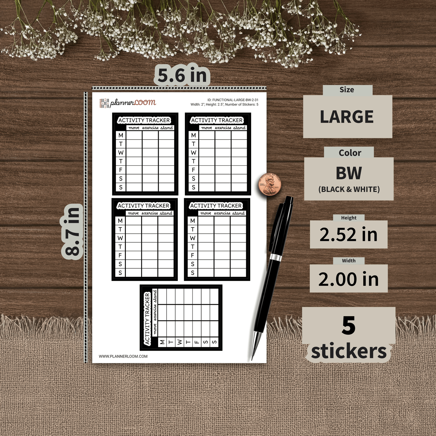 FUNCTIONAL-LARGE-BW-2-31.png