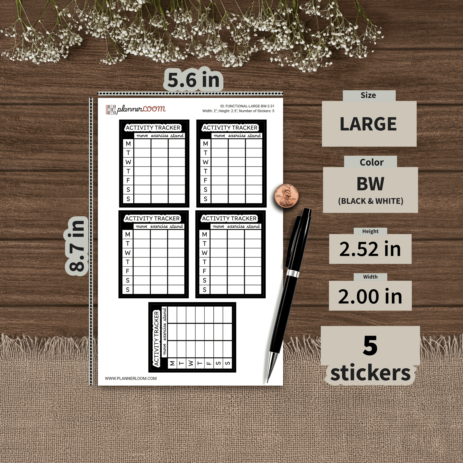 FUNCTIONAL-LARGE-BW-2-31.png