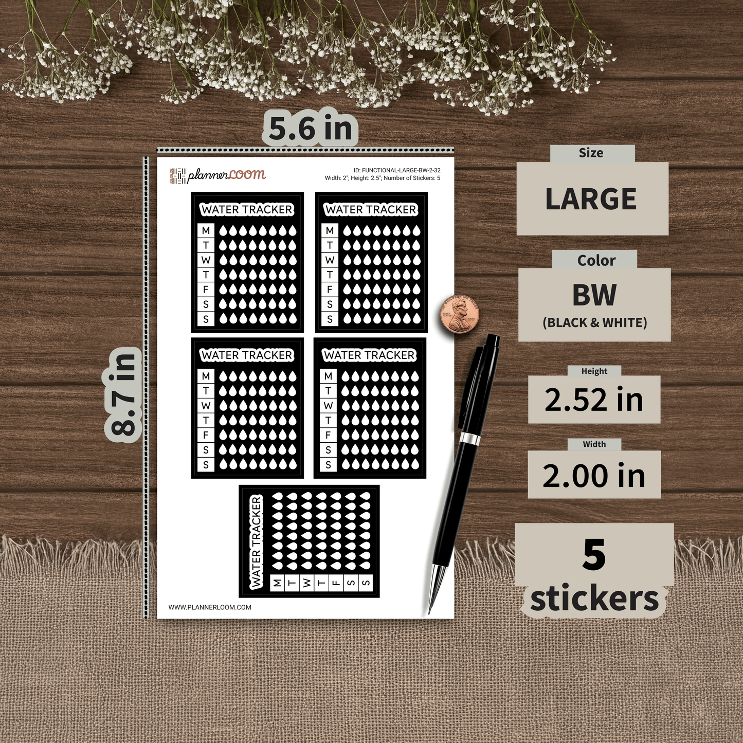 FUNCTIONAL-LARGE-BW-2-32.png