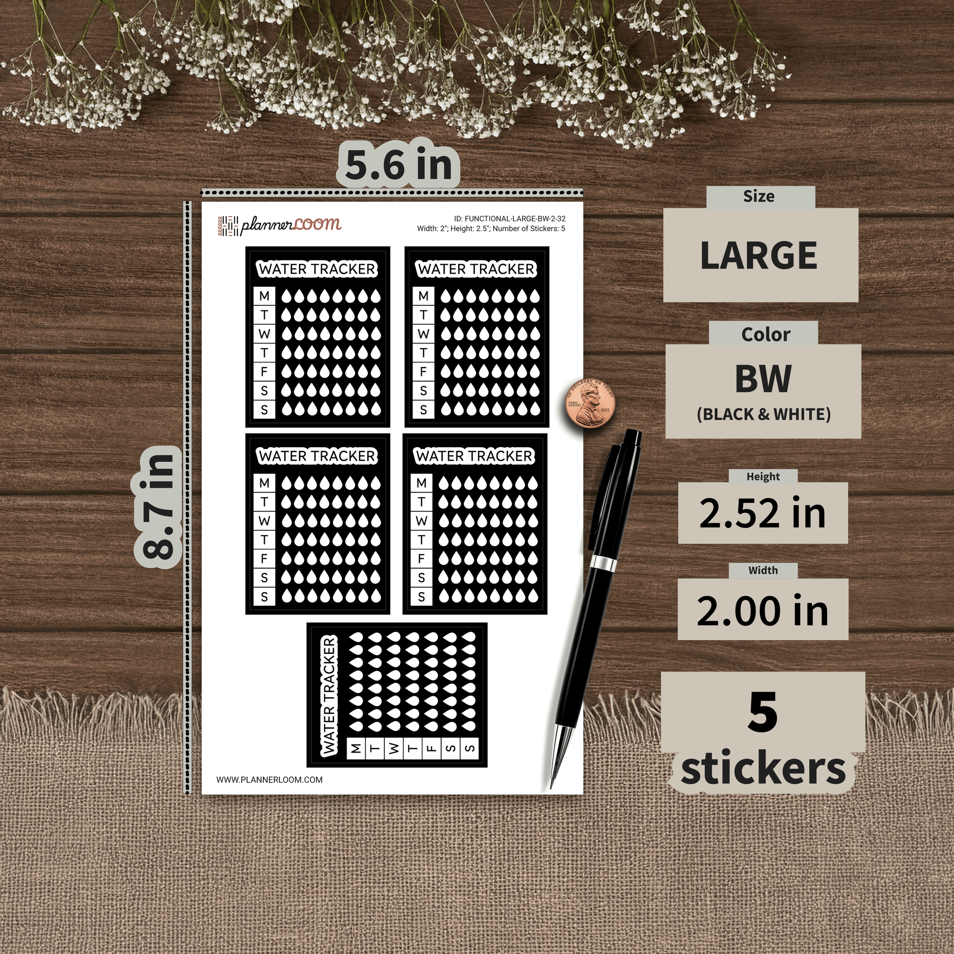 FUNCTIONAL-LARGE-BW-2-32.png