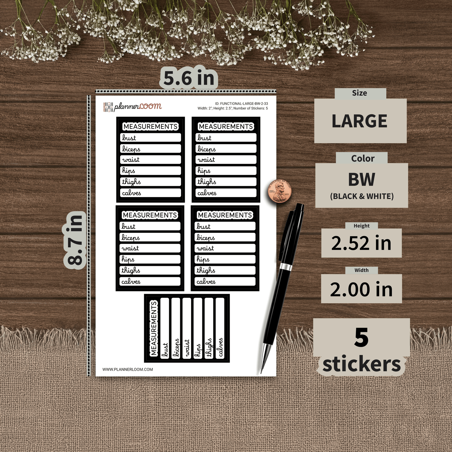 FUNCTIONAL-LARGE-BW-2-33.png