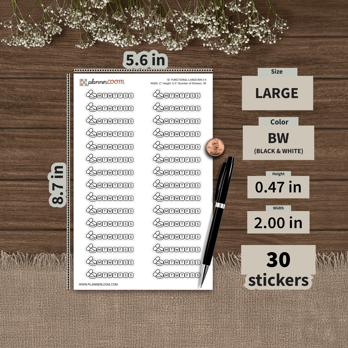 FUNCTIONAL-LARGE-BW-2-4.png