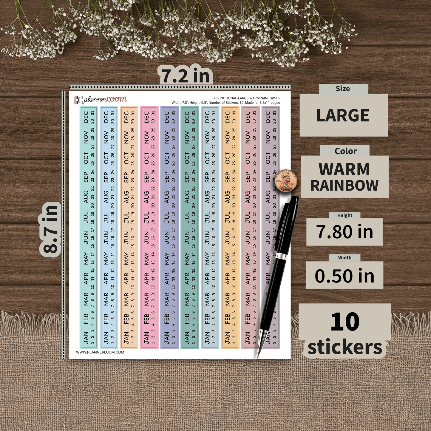 FUNCTIONAL-LARGE-WARMRAINBOW-1-9.png