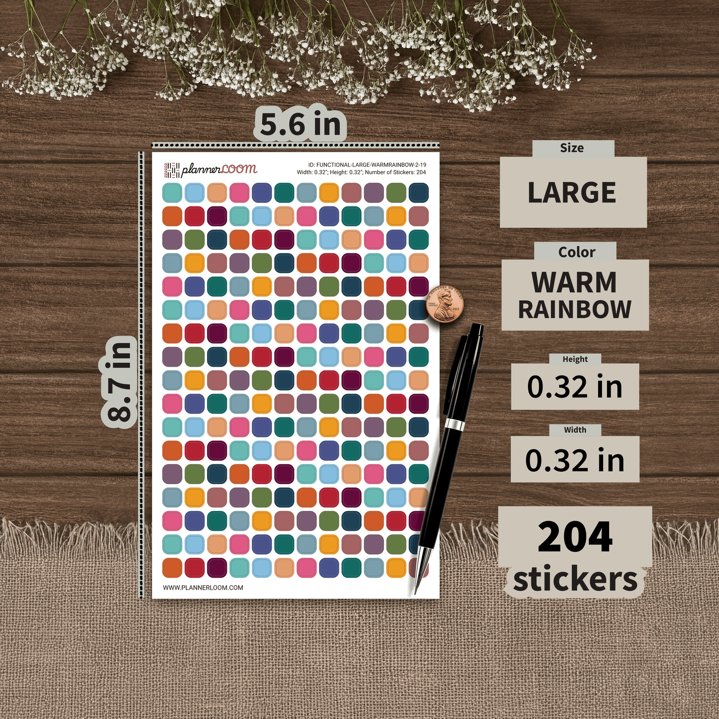 FUNCTIONAL-LARGE-WARMRAINBOW-2-19.png