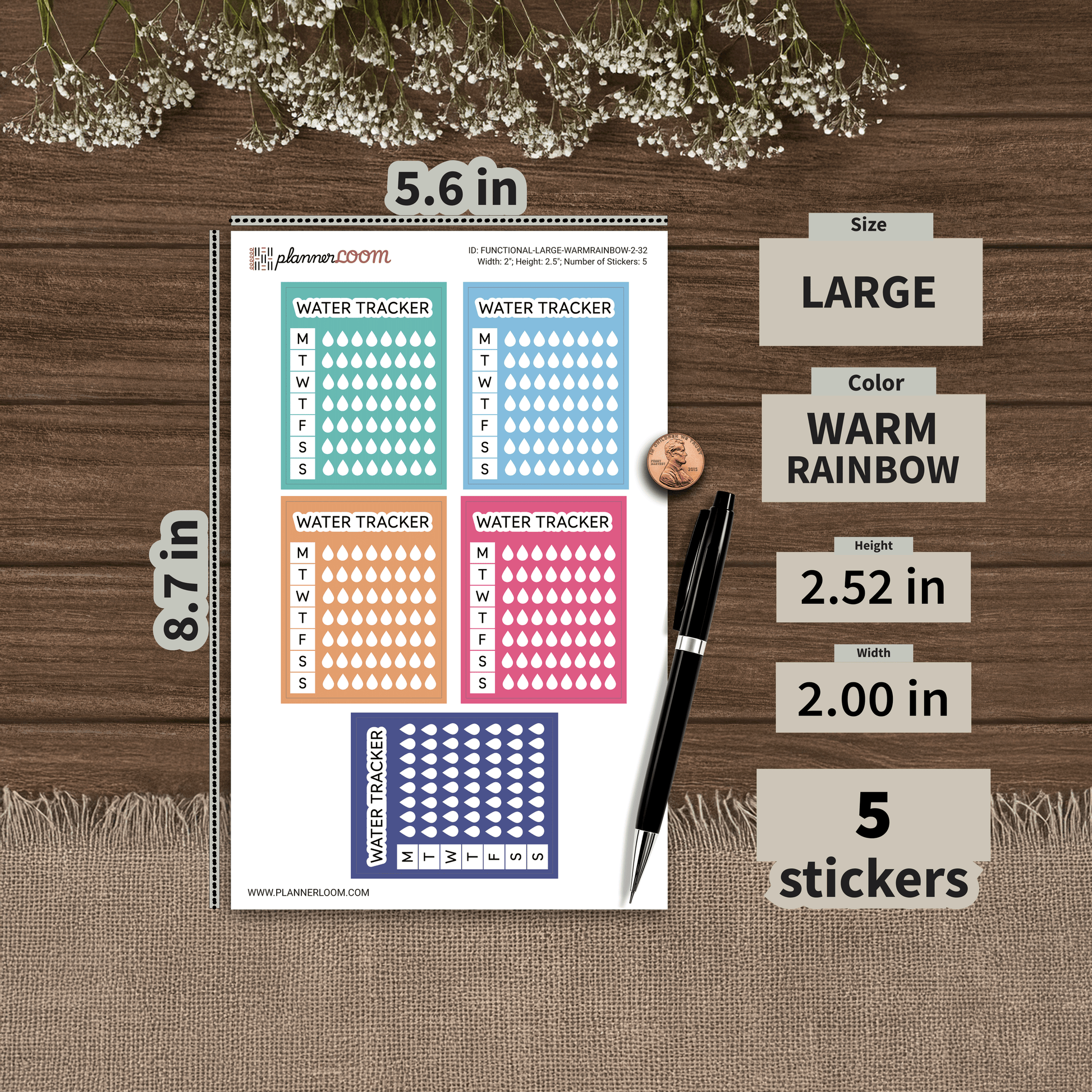 FUNCTIONAL-LARGE-WARMRAINBOW-2-32.png