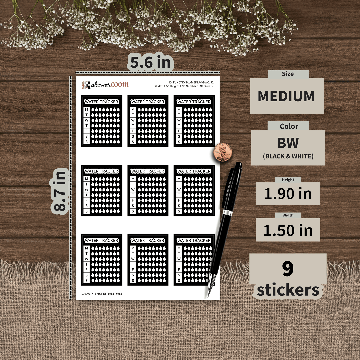 FUNCTIONAL-MEDIUM-BW-2-32.png