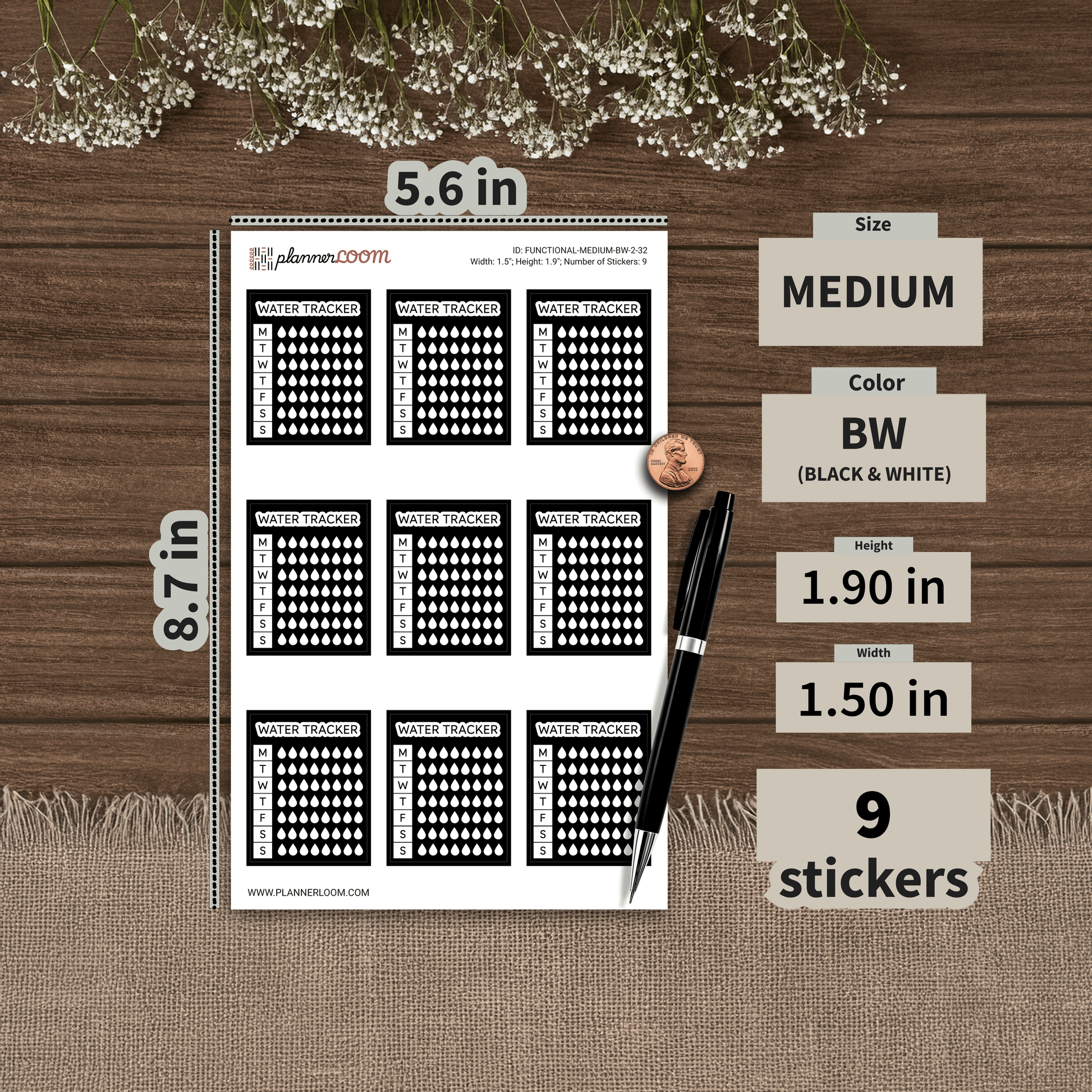 FUNCTIONAL-MEDIUM-BW-2-32.png