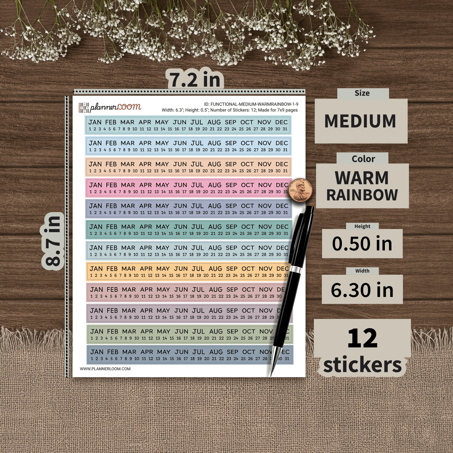 FUNCTIONAL-MEDIUM-WARMRAINBOW-1-9.png