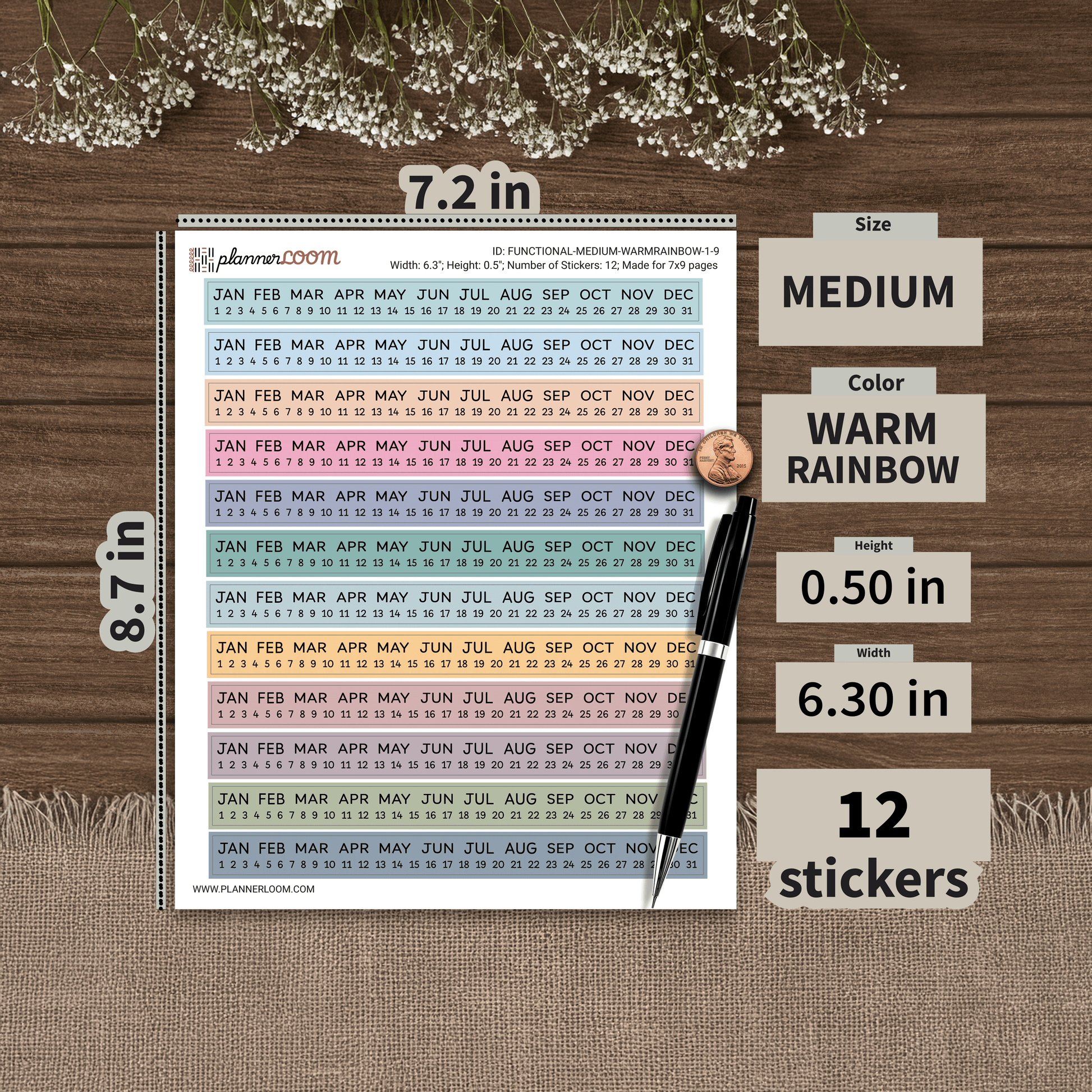 FUNCTIONAL-MEDIUM-WARMRAINBOW-1-9.png