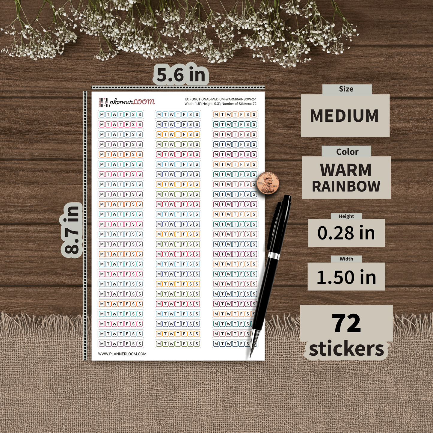 FUNCTIONAL-MEDIUM-WARMRAINBOW-2-1.png