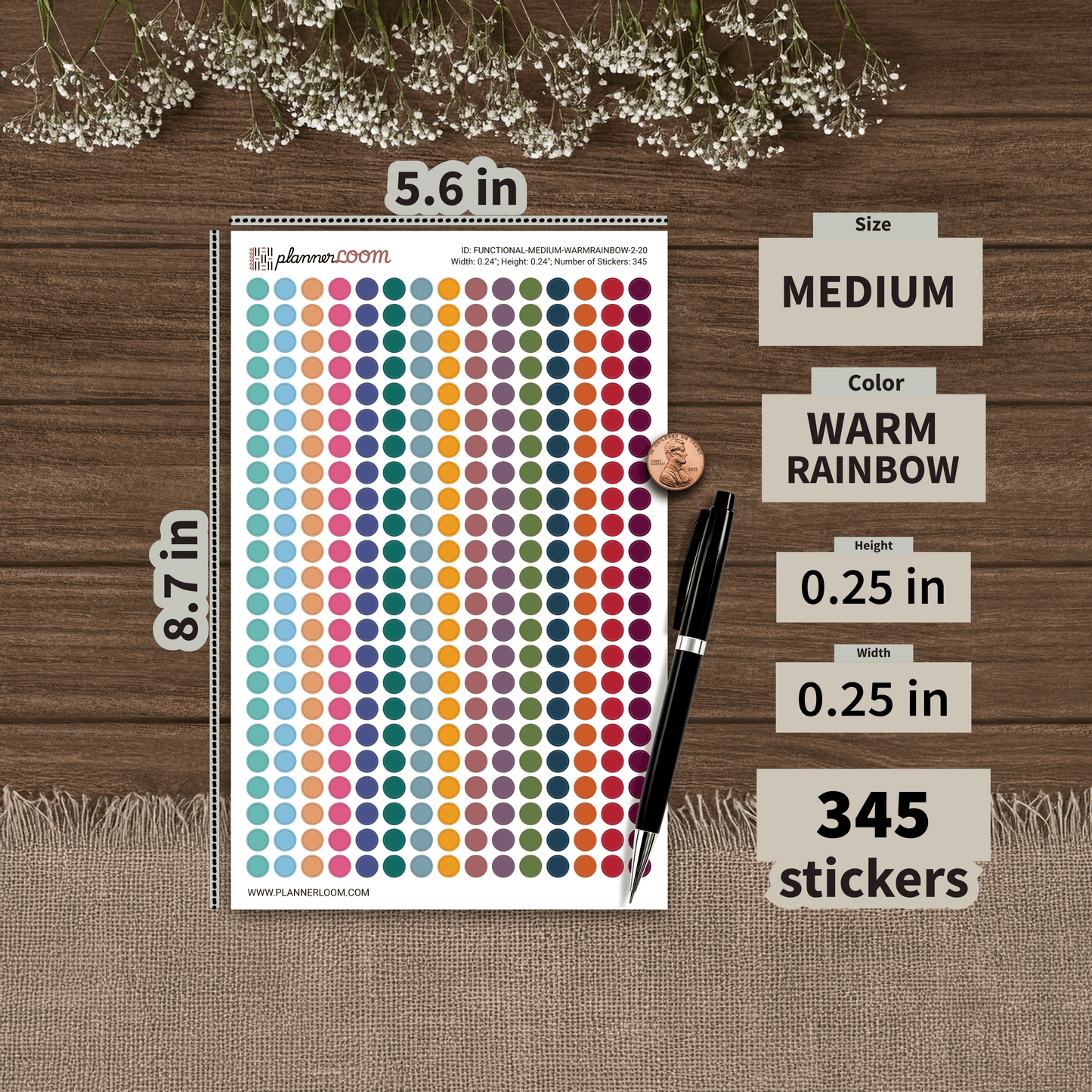 FUNCTIONAL-MEDIUM-WARMRAINBOW-2-20.png