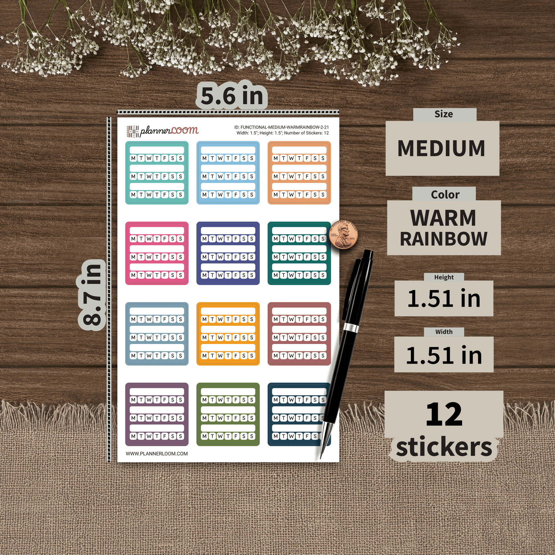 FUNCTIONAL-MEDIUM-WARMRAINBOW-2-21.png