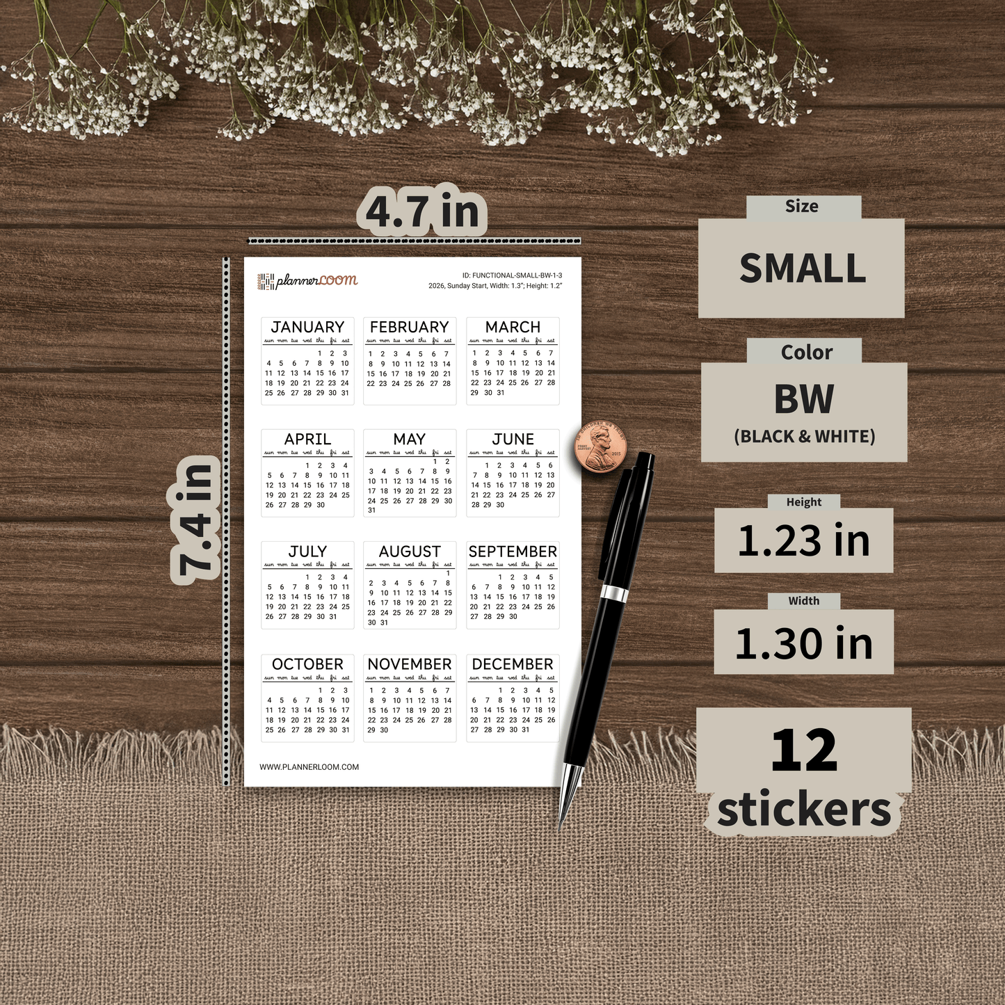 FUNCTIONAL-SMALL-BW-1-3.png