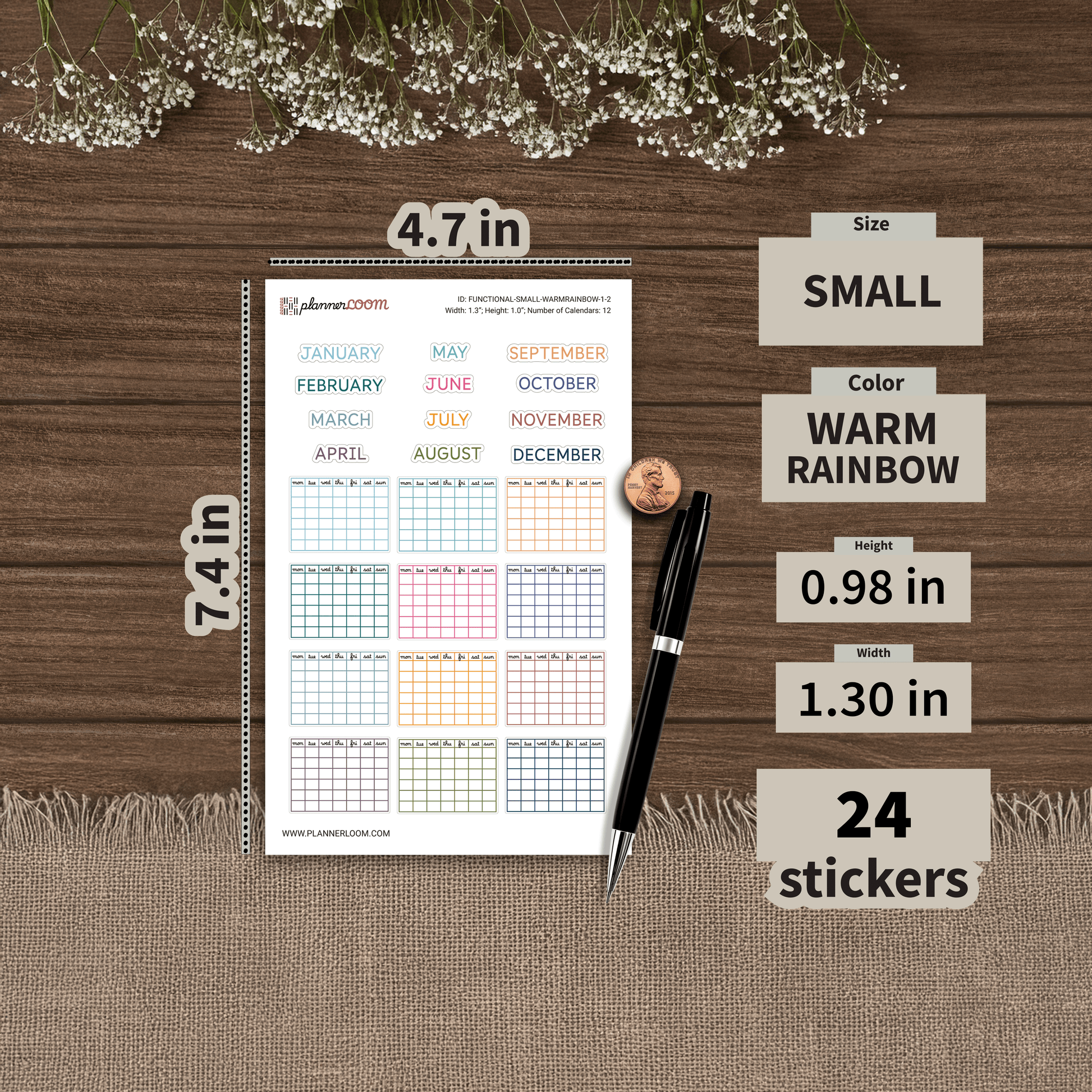 FUNCTIONAL-SMALL-WARMRAINBOW-1-2.png