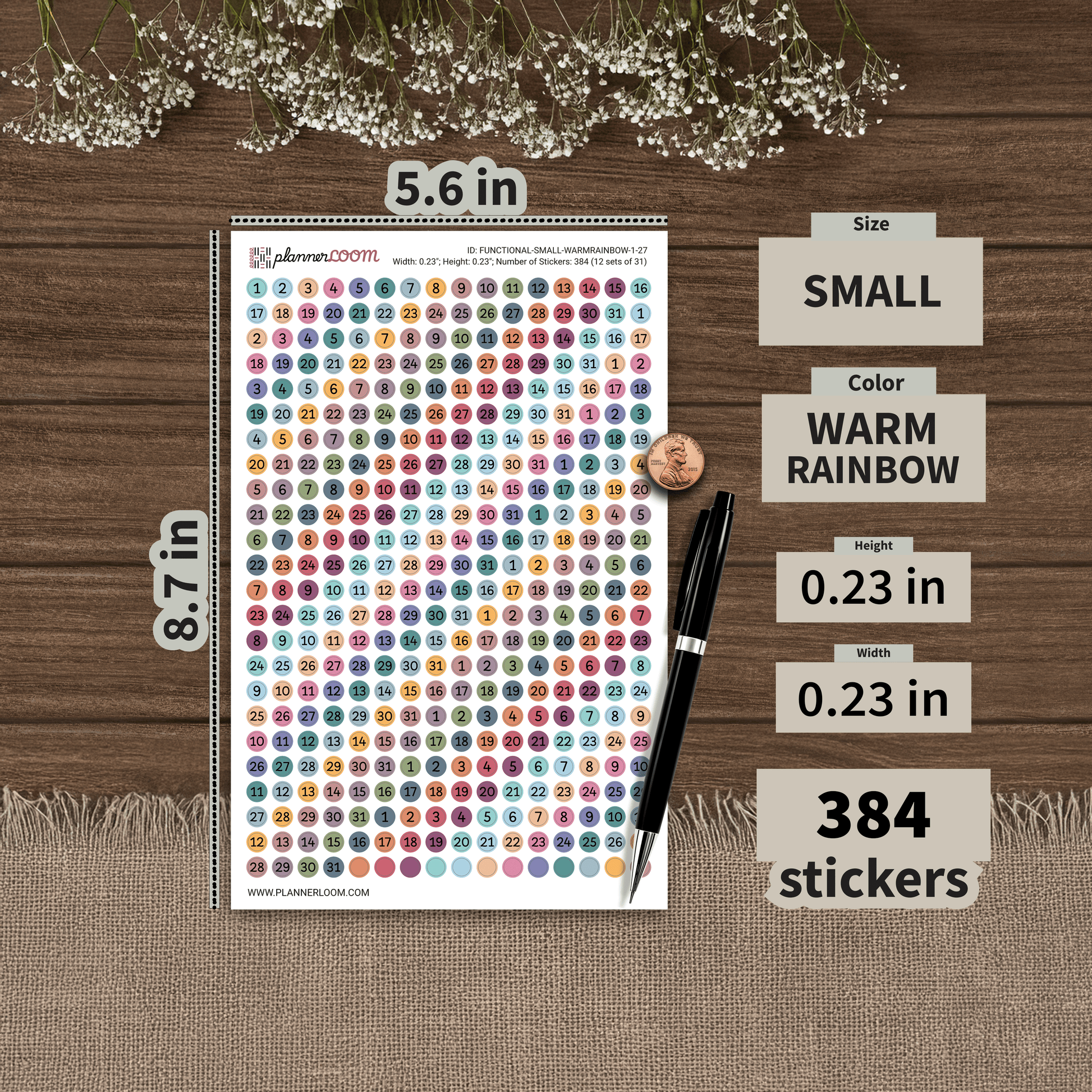 FUNCTIONAL-SMALL-WARMRAINBOW-1-27.png