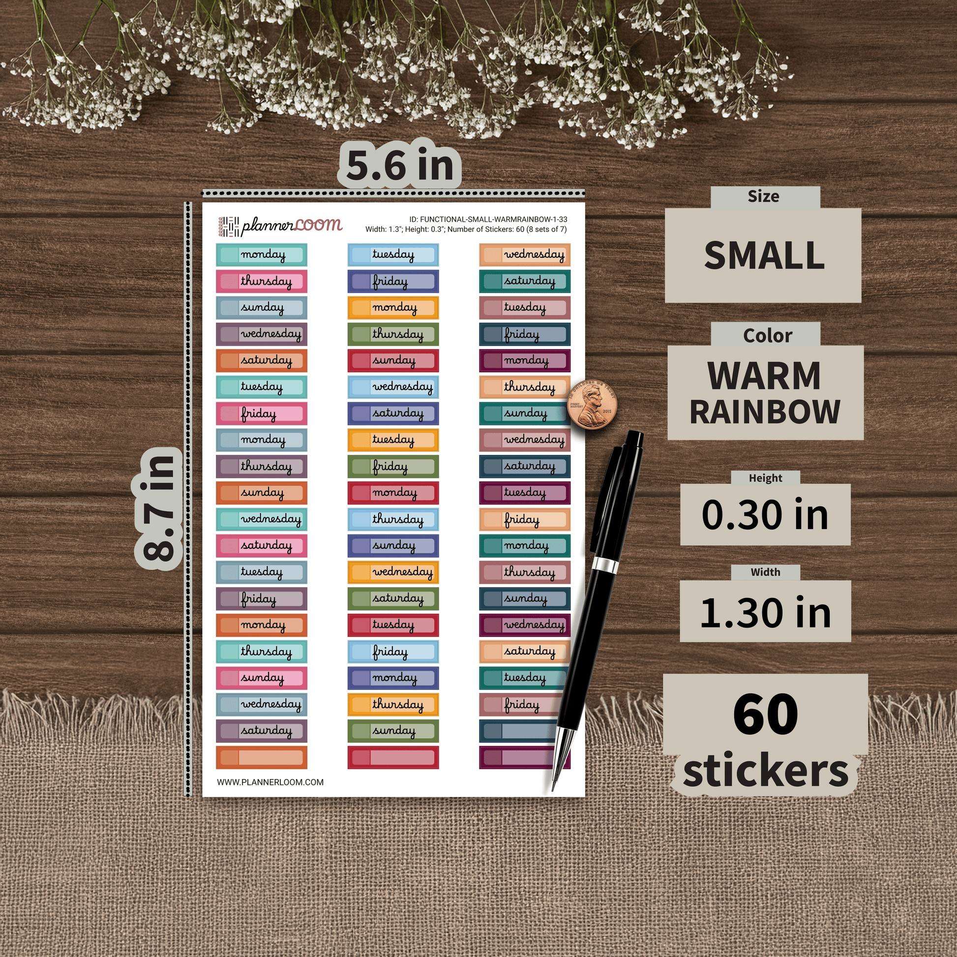 FUNCTIONAL-SMALL-WARMRAINBOW-1-33.png