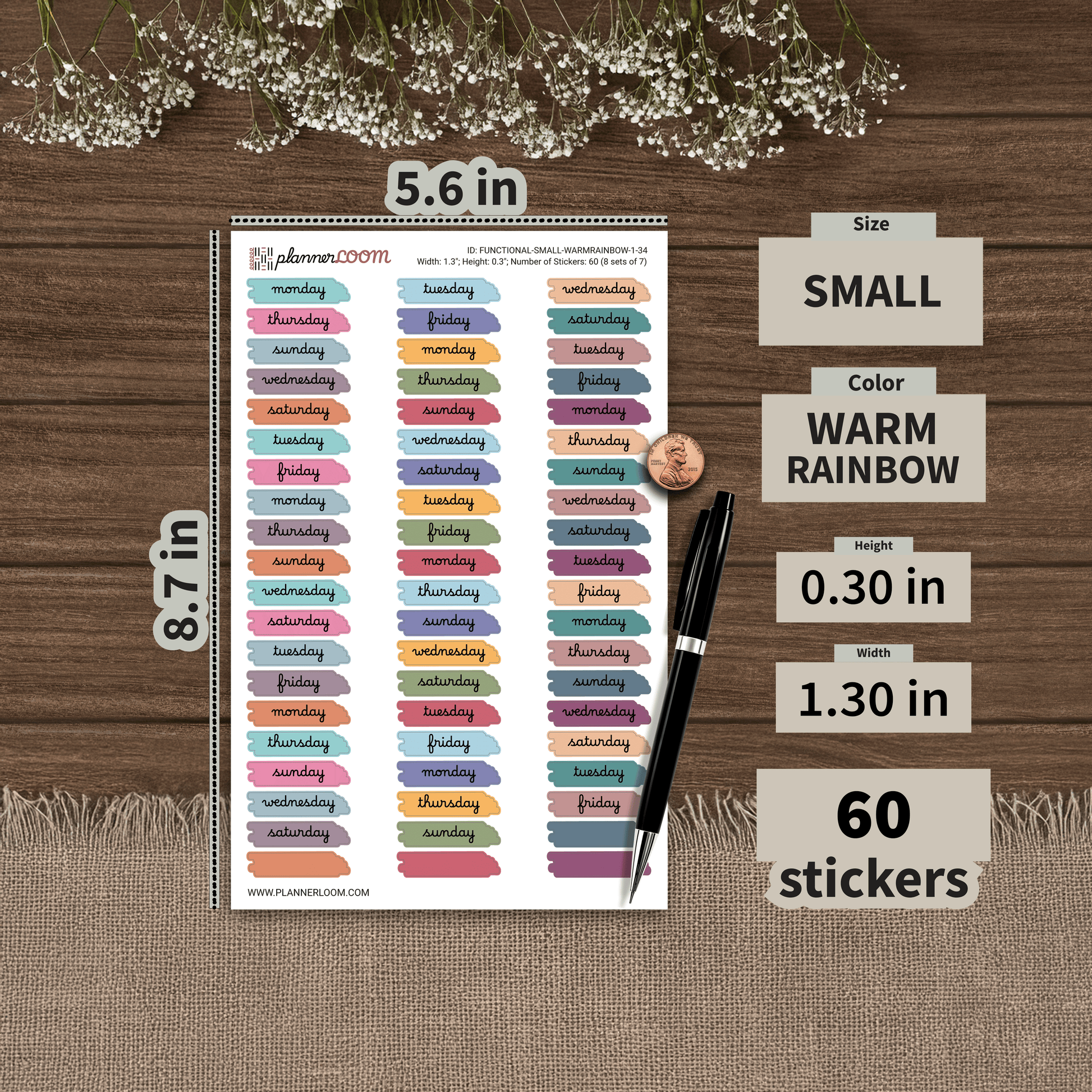 FUNCTIONAL-SMALL-WARMRAINBOW-1-34.png