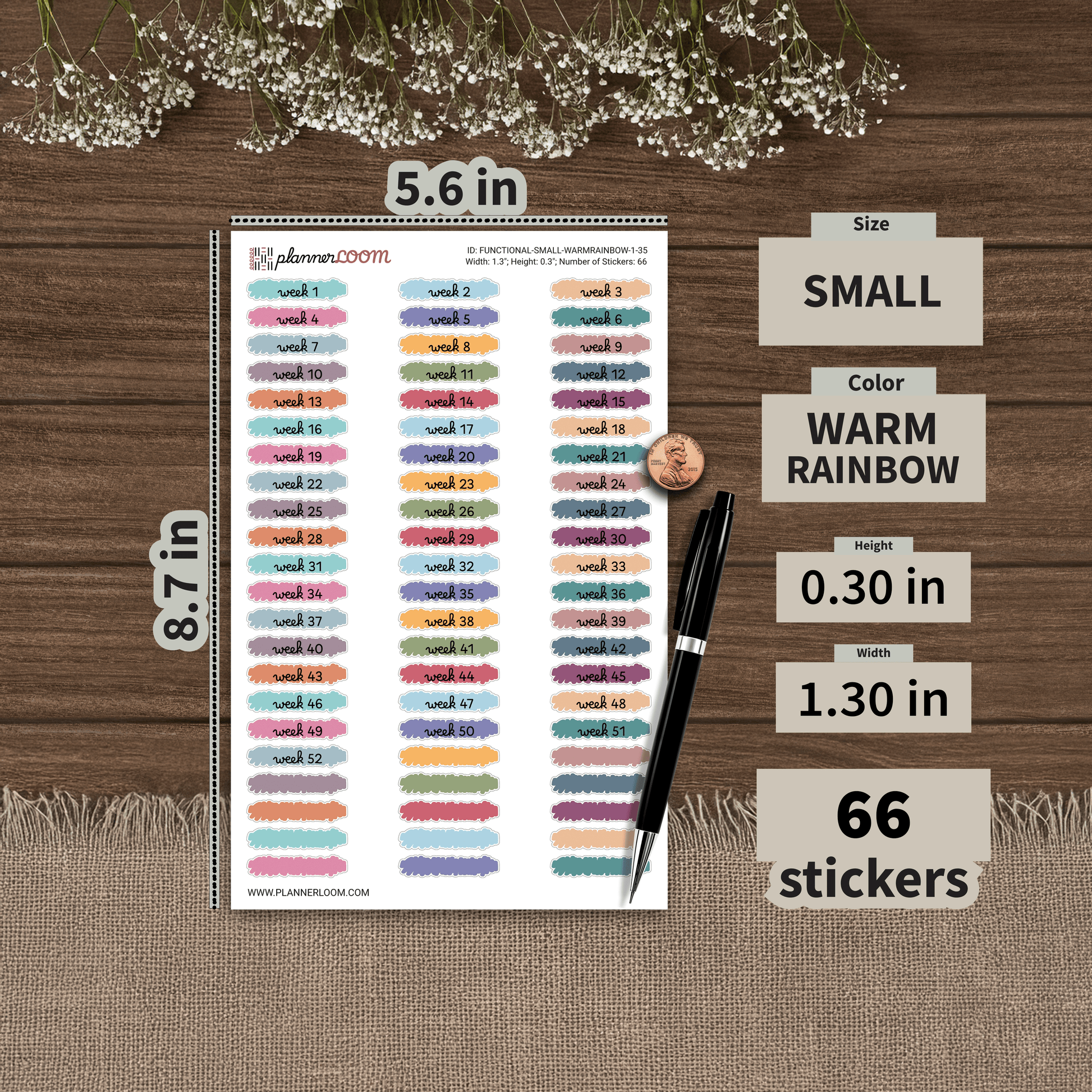 FUNCTIONAL-SMALL-WARMRAINBOW-1-35.png