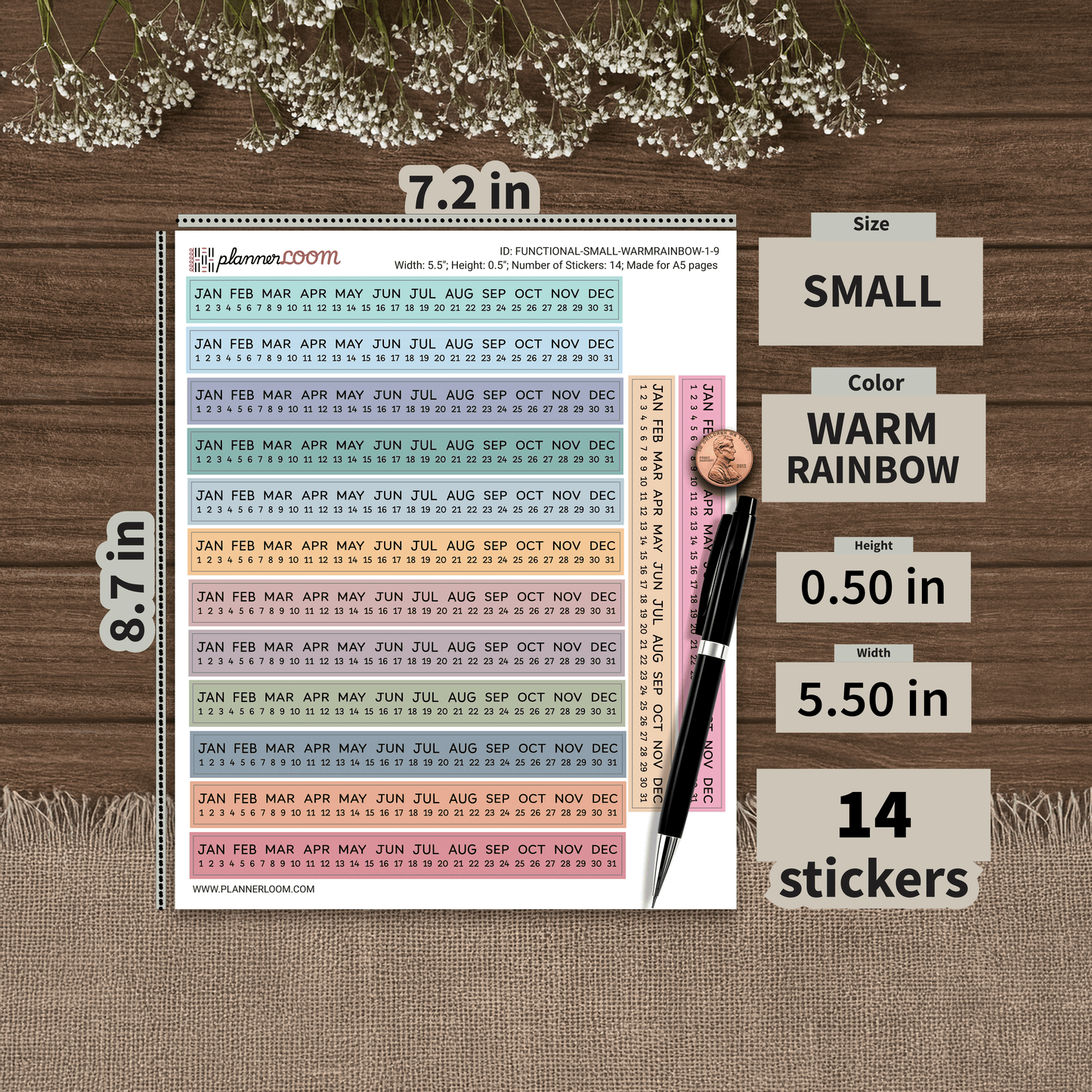 FUNCTIONAL-SMALL-WARMRAINBOW-1-9.png