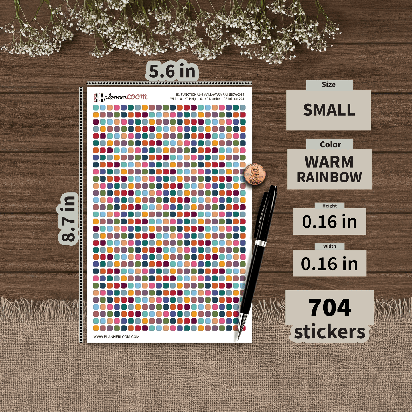 FUNCTIONAL-SMALL-WARMRAINBOW-2-19.png