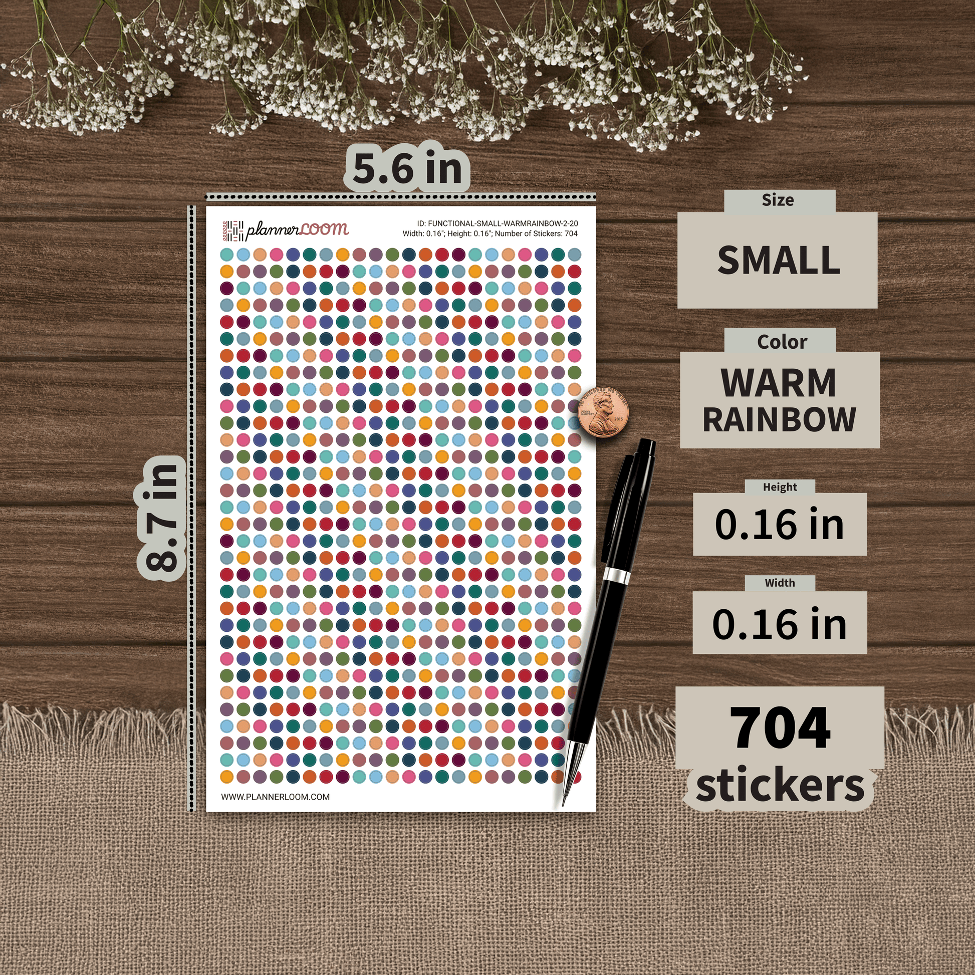 FUNCTIONAL-SMALL-WARMRAINBOW-2-20.png
