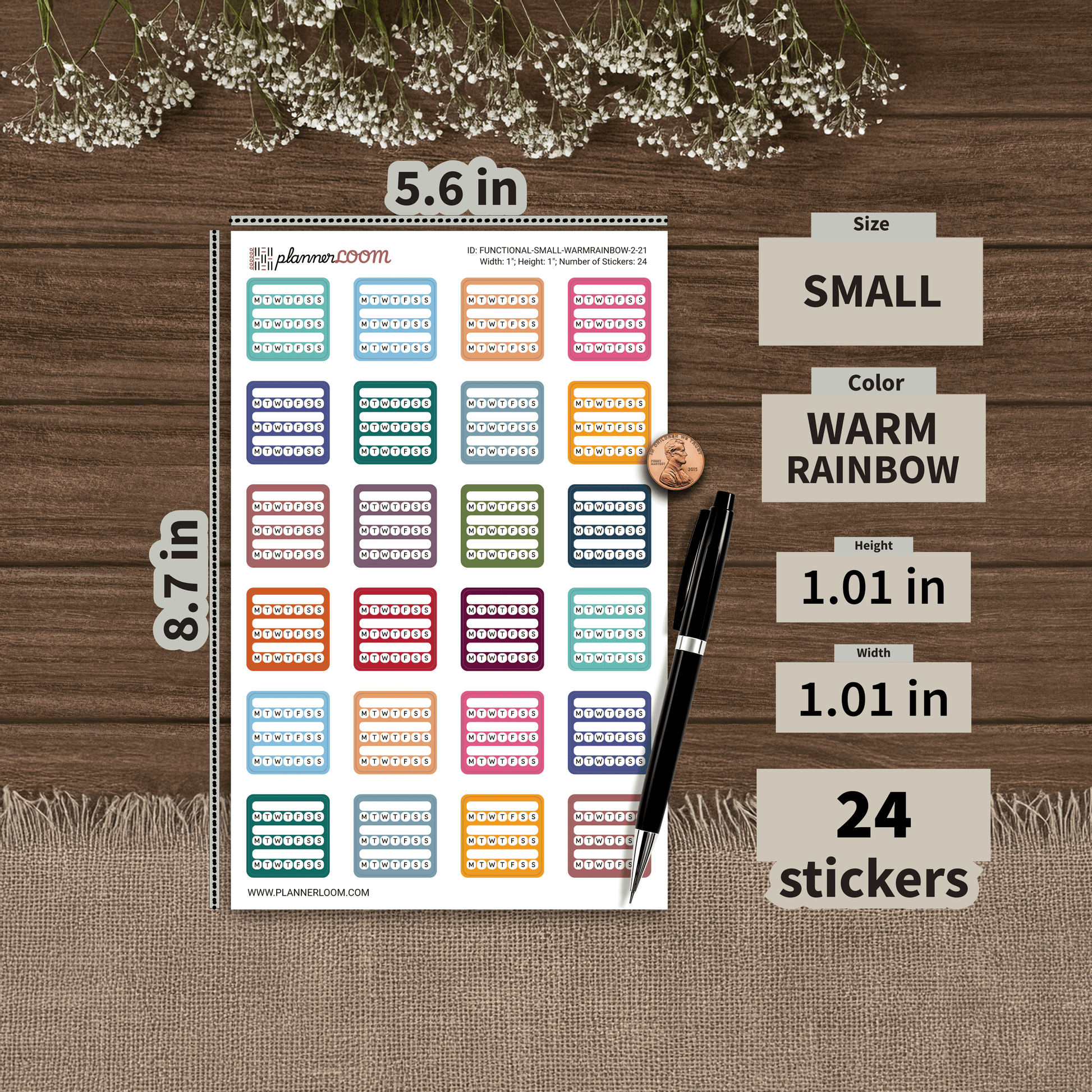 FUNCTIONAL-SMALL-WARMRAINBOW-2-21.png