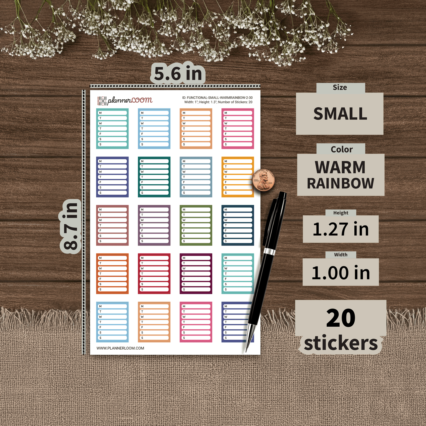FUNCTIONAL-SMALL-WARMRAINBOW-2-30.png