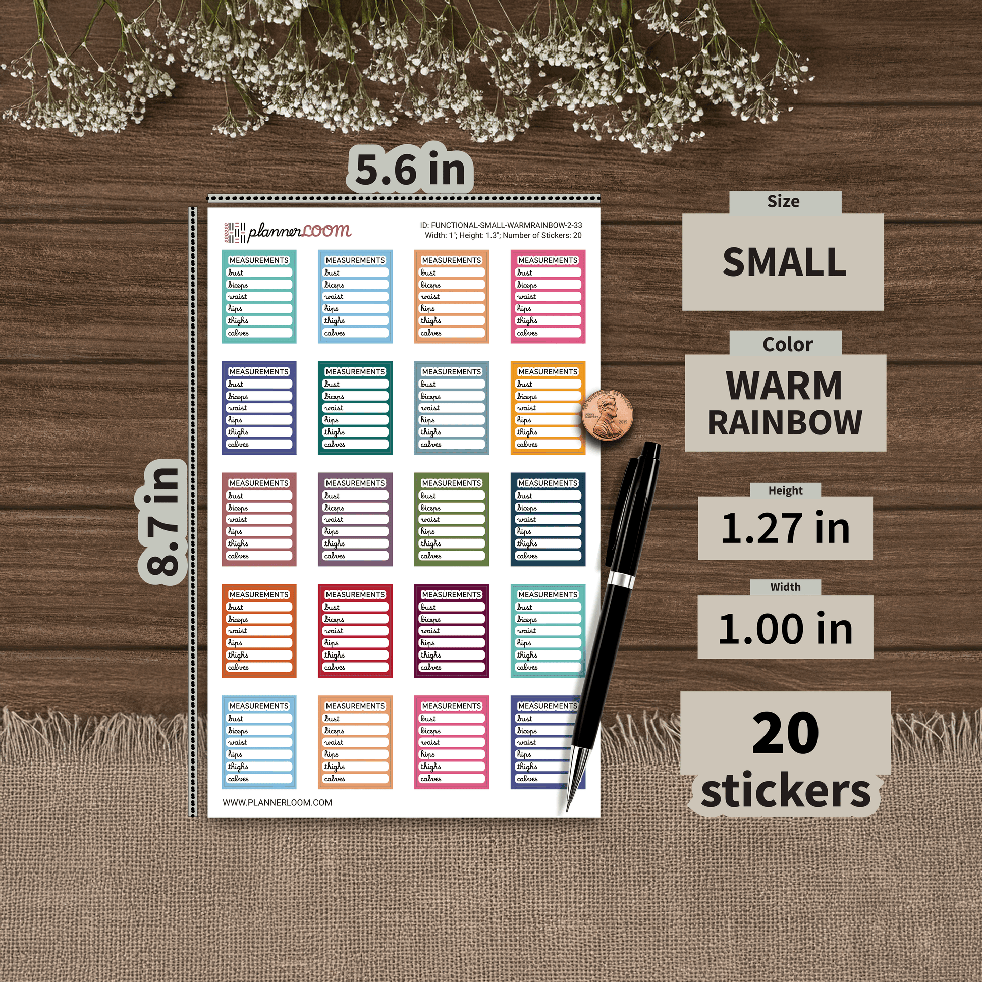 FUNCTIONAL-SMALL-WARMRAINBOW-2-33.png