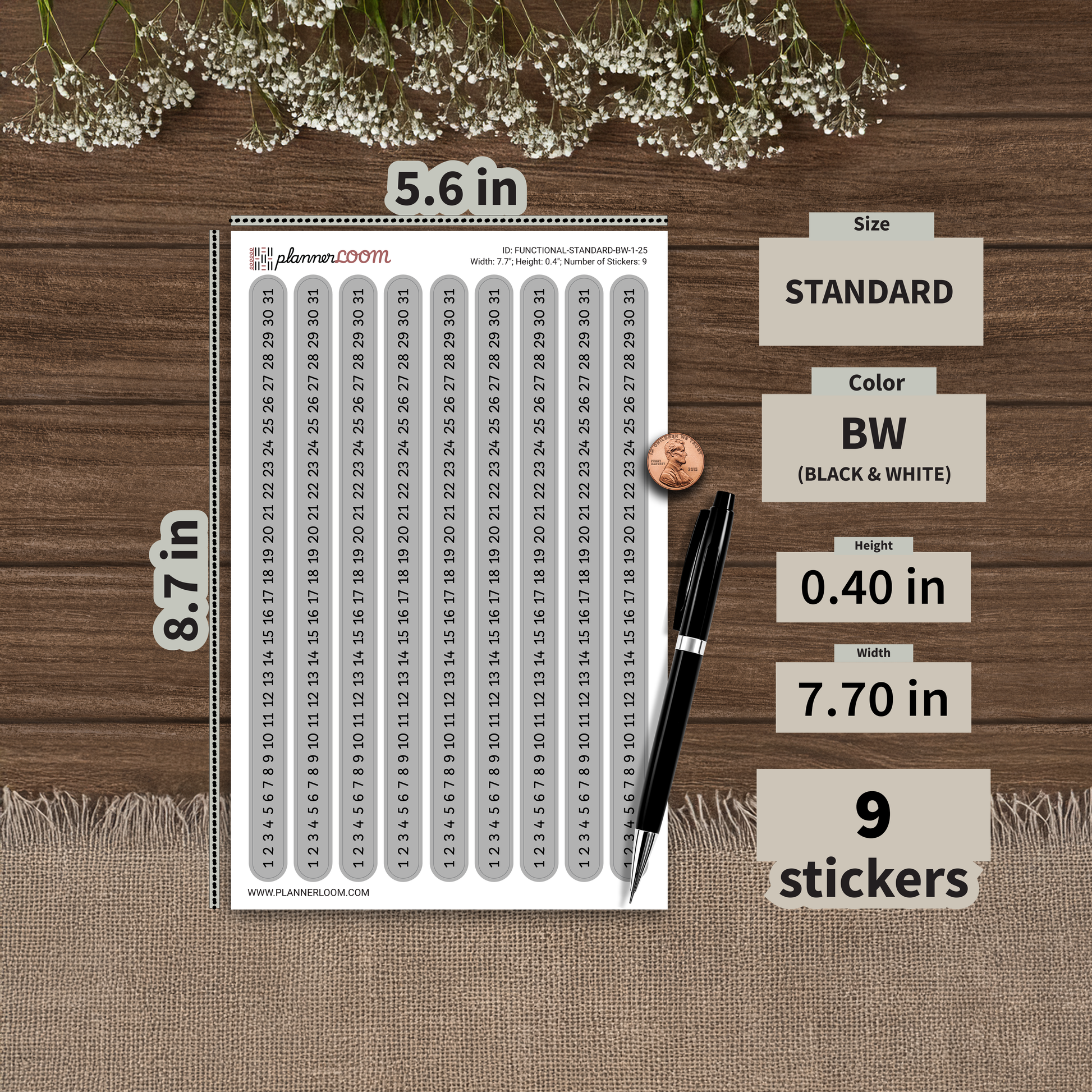 FUNCTIONAL-STANDARD-BW-1-25.png