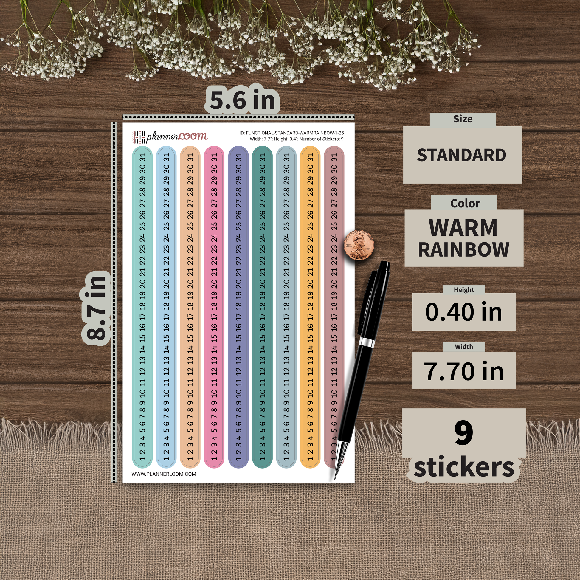 FUNCTIONAL-STANDARD-WARMRAINBOW-1-25.png