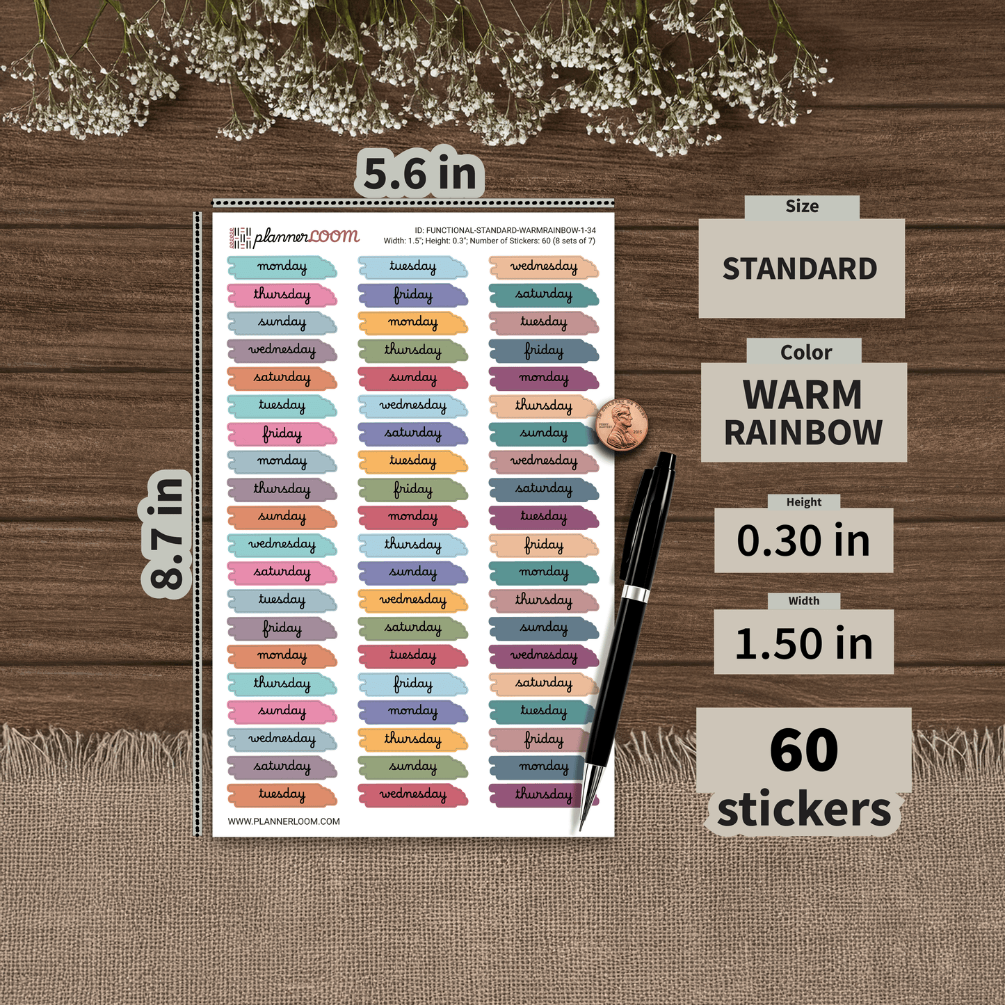 FUNCTIONAL-STANDARD-WARMRAINBOW-1-34.png