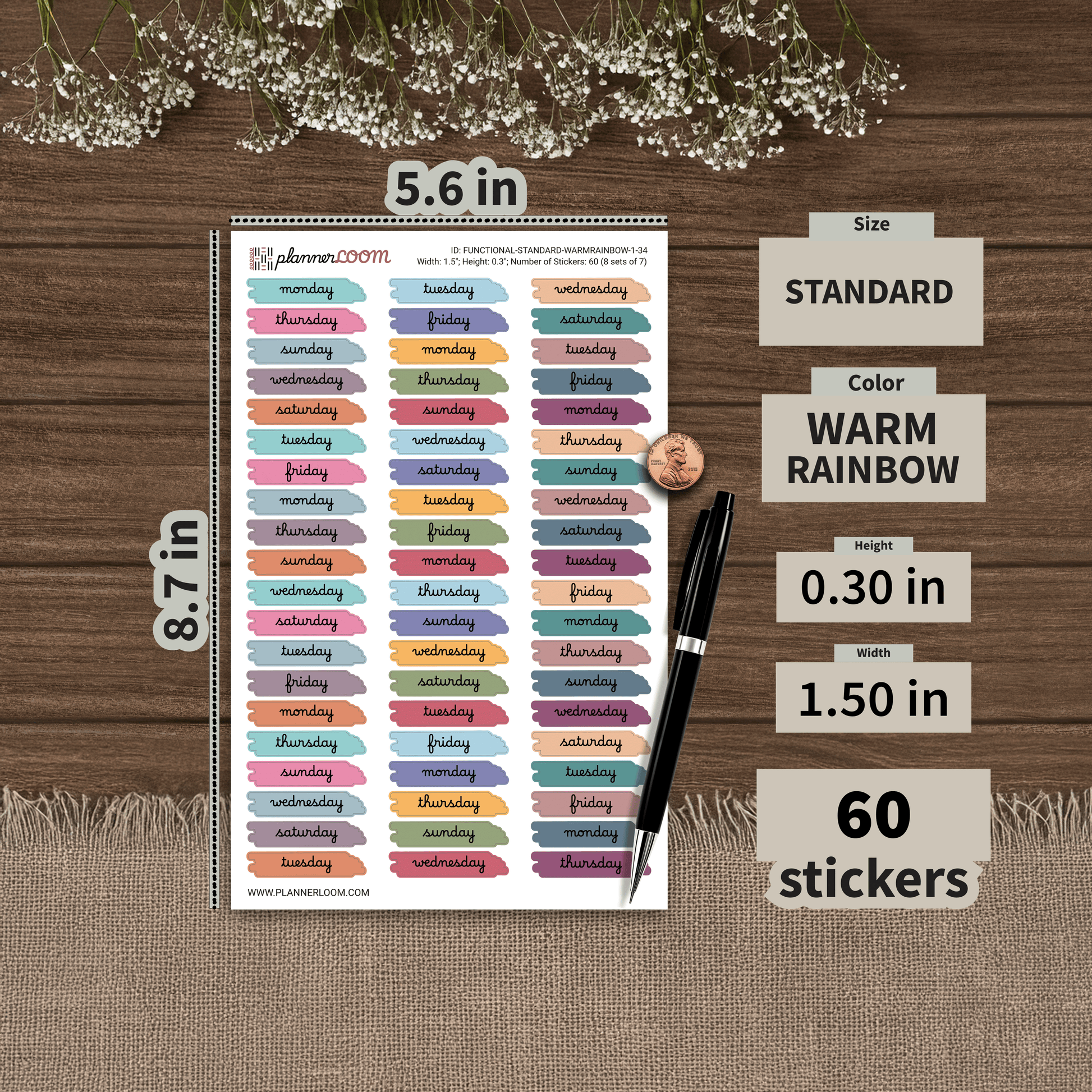 FUNCTIONAL-STANDARD-WARMRAINBOW-1-34.png