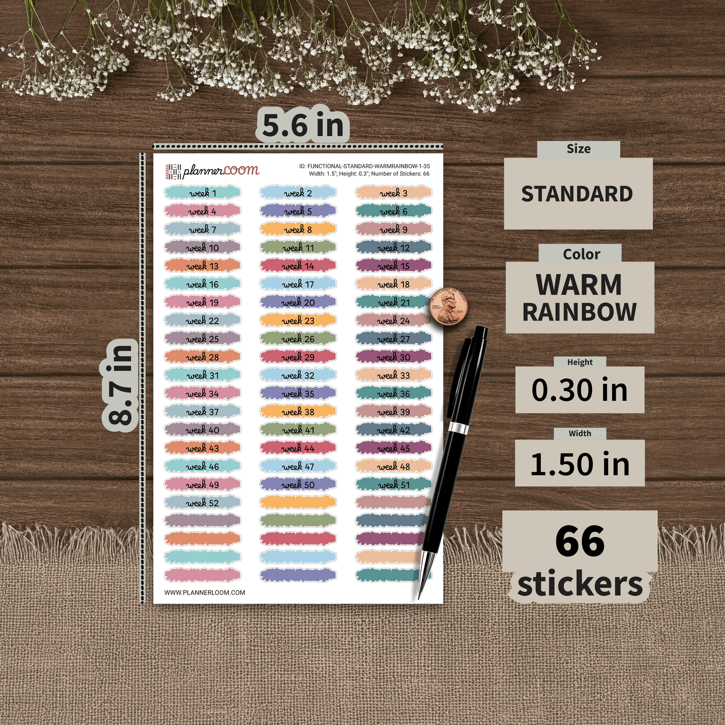 FUNCTIONAL-STANDARD-WARMRAINBOW-1-35.png
