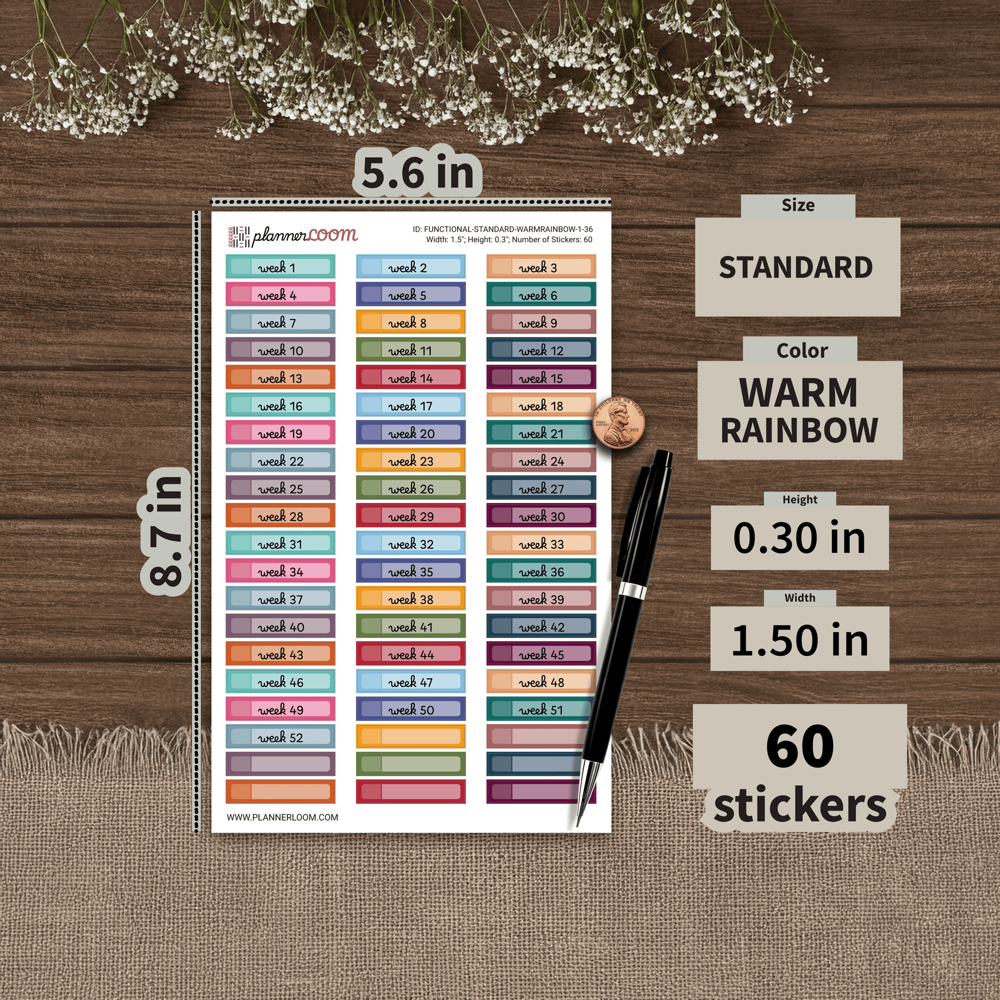 FUNCTIONAL-STANDARD-WARMRAINBOW-1-36.png